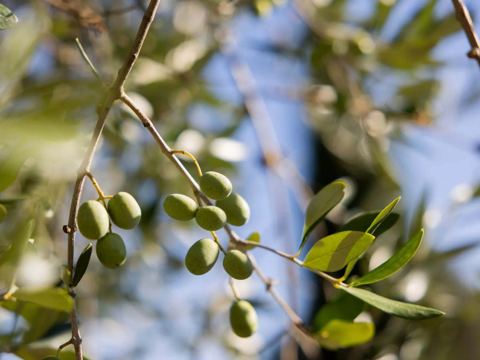 Landgut mit eigenem Parkplatz-Draußen