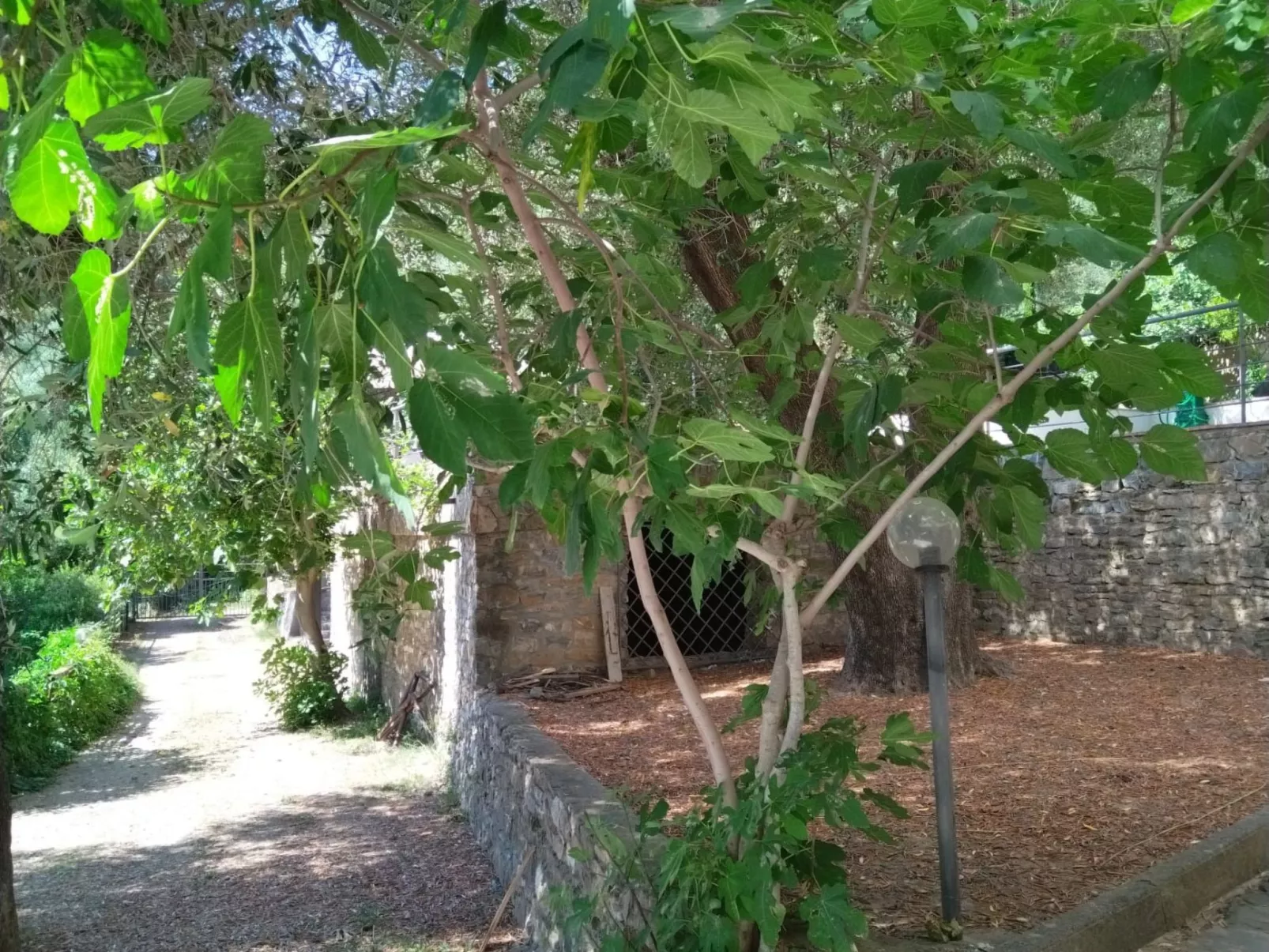 Strandnahe Wohnung in Pisciotta mit Grill-Image-tags.info