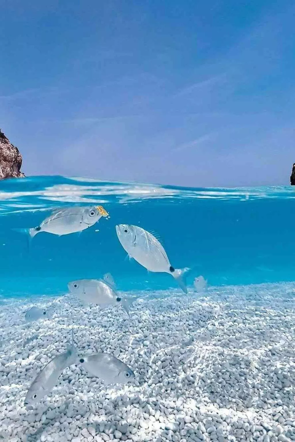 Zeit für Jazz "2BR Apt Nr S.Teodoro"-Image-tags.info