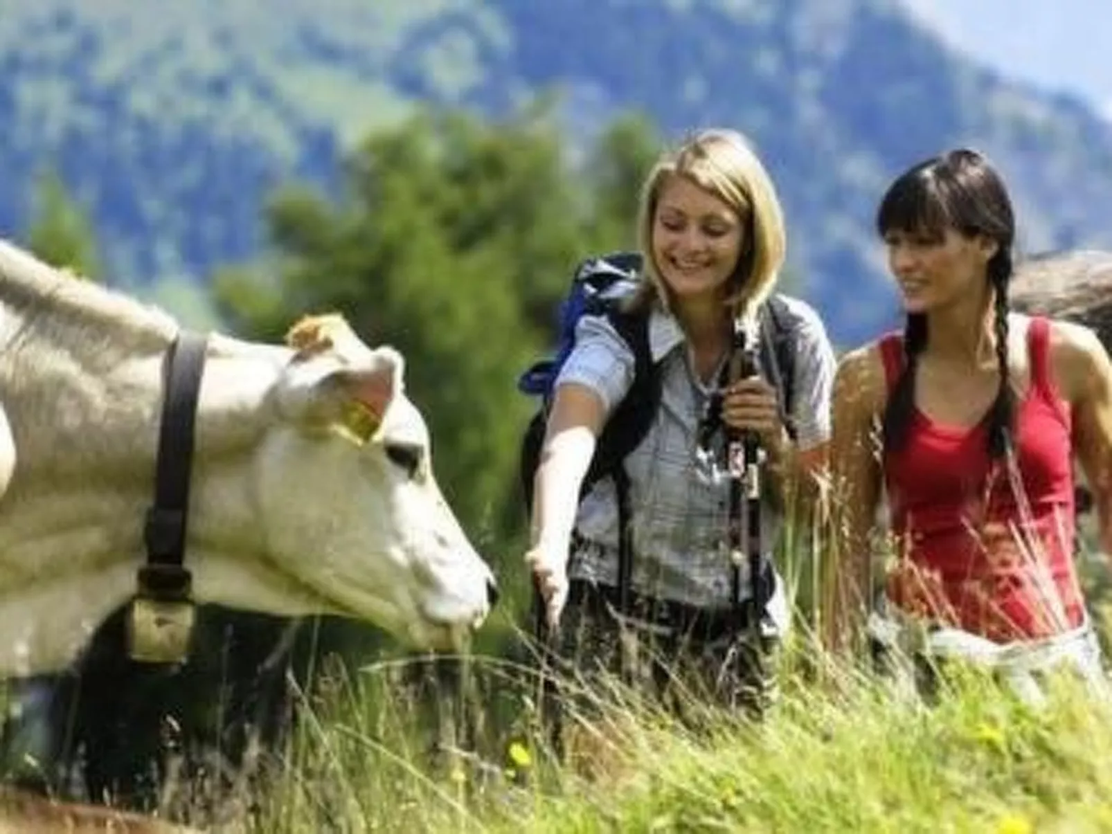 Cesa Vedla DOLOMITES-Image-tags.info