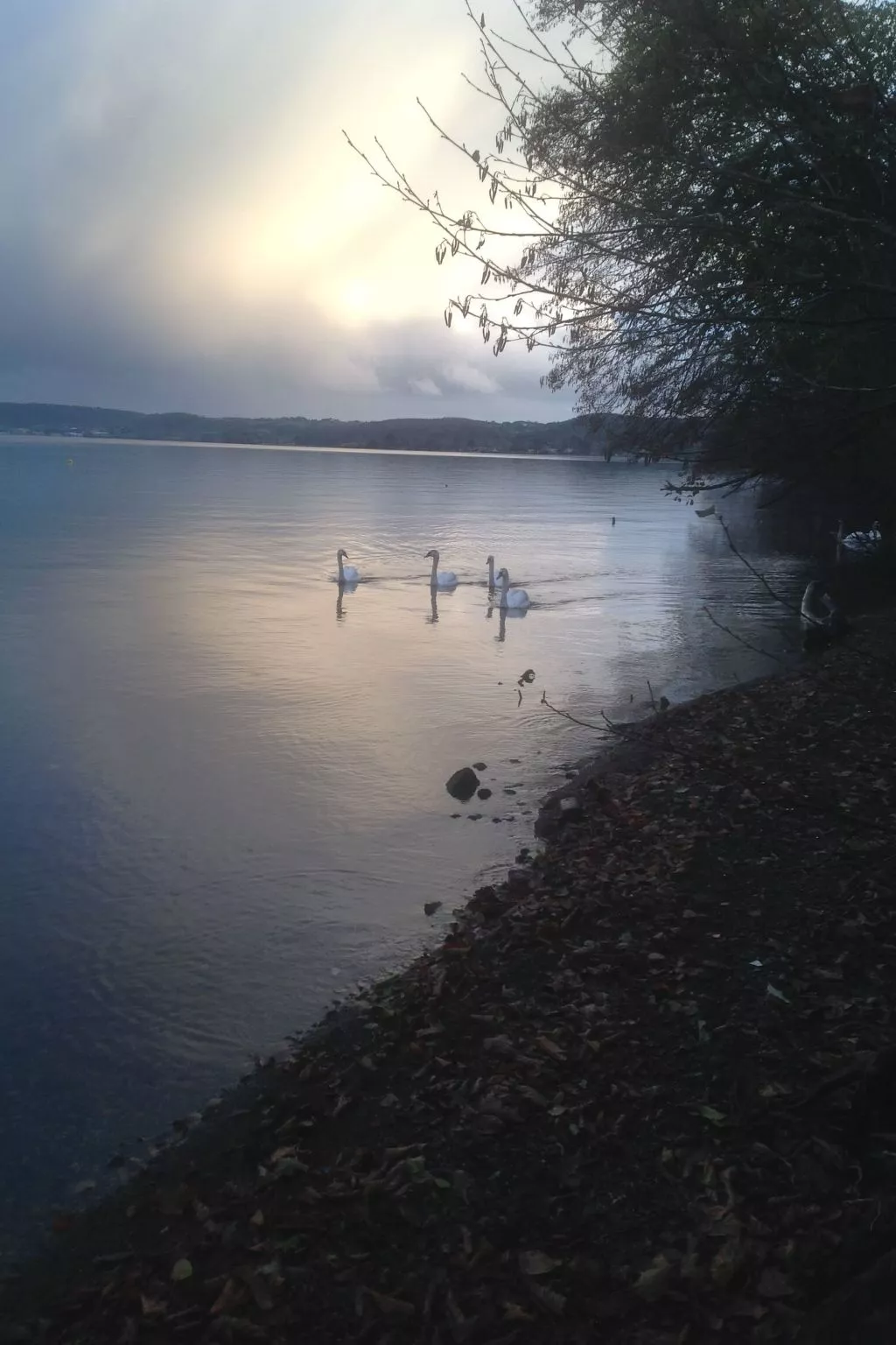 Mit Wasserblick-Outside