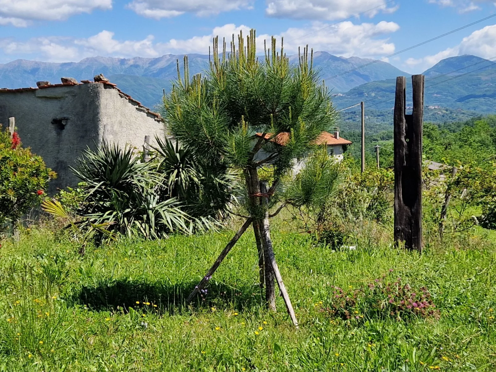 Mini-Appartement Casa Colombana mit Panoramablick - Draußen