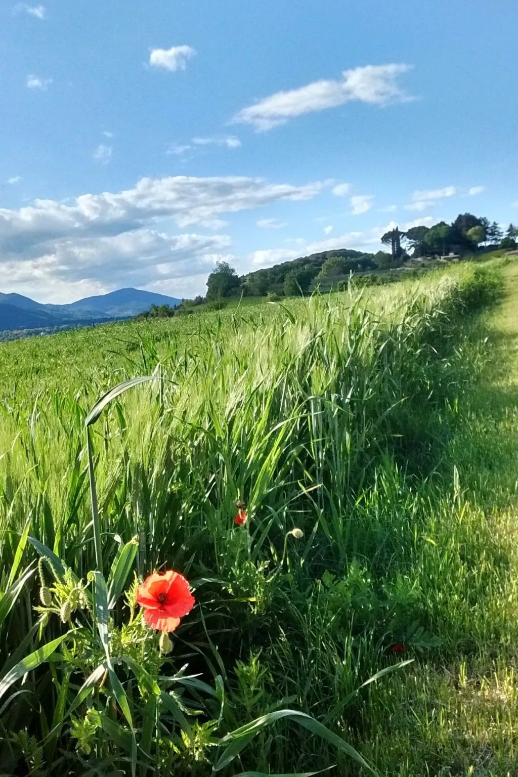 Flacher Pool-Image-tags.info