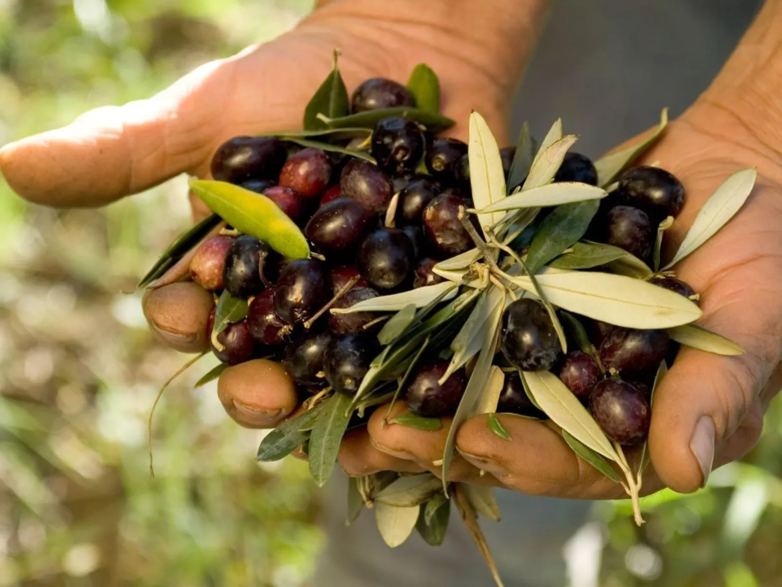 Meisterhaussiedlung mit Schwimmbad-Image-tags.info