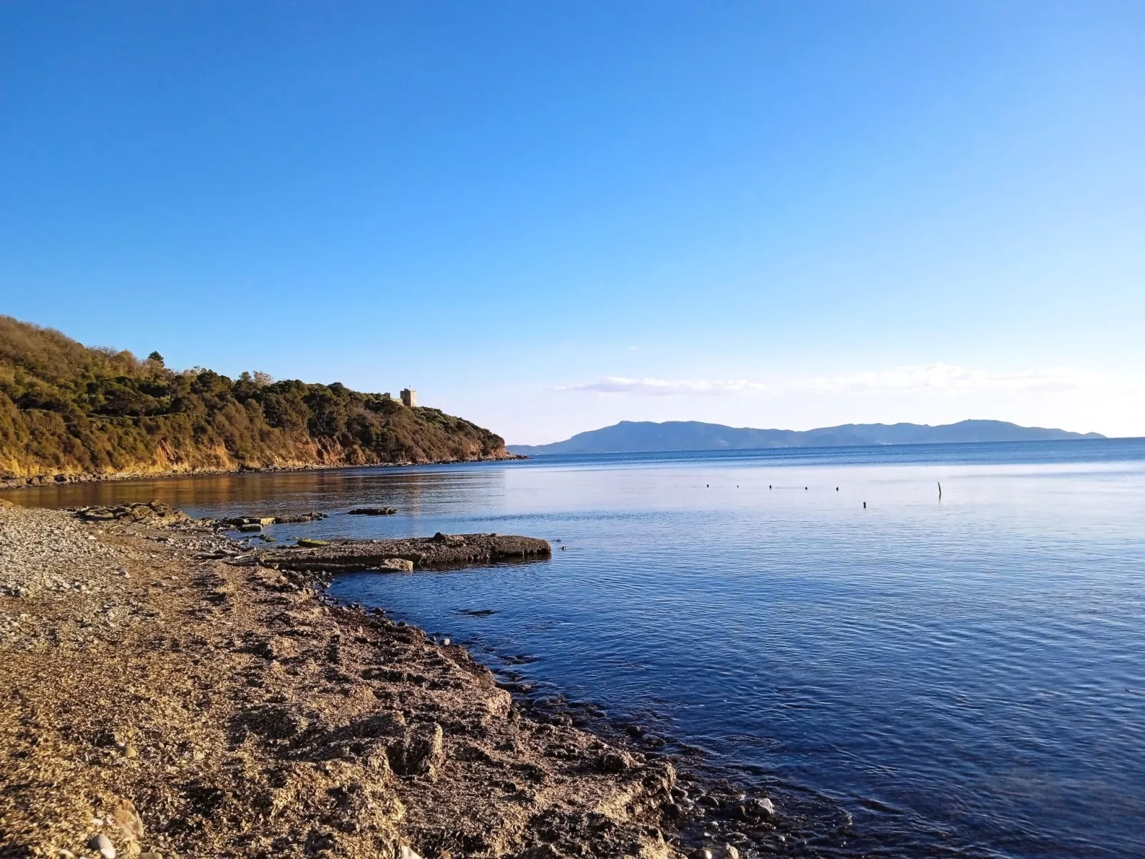 Der Birnbaum-Outside