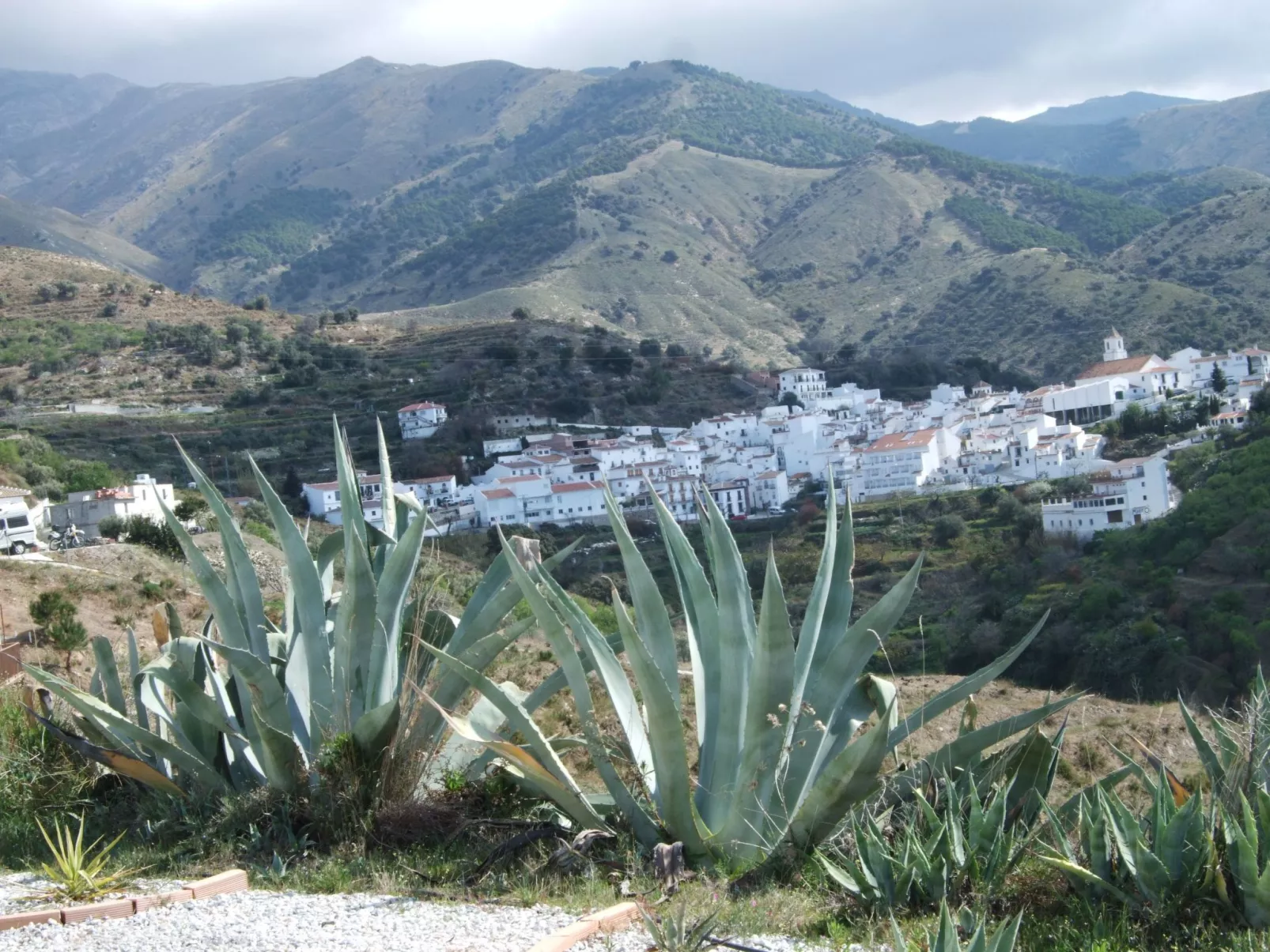 Finca 'Casa Siete Arcos' - Outside