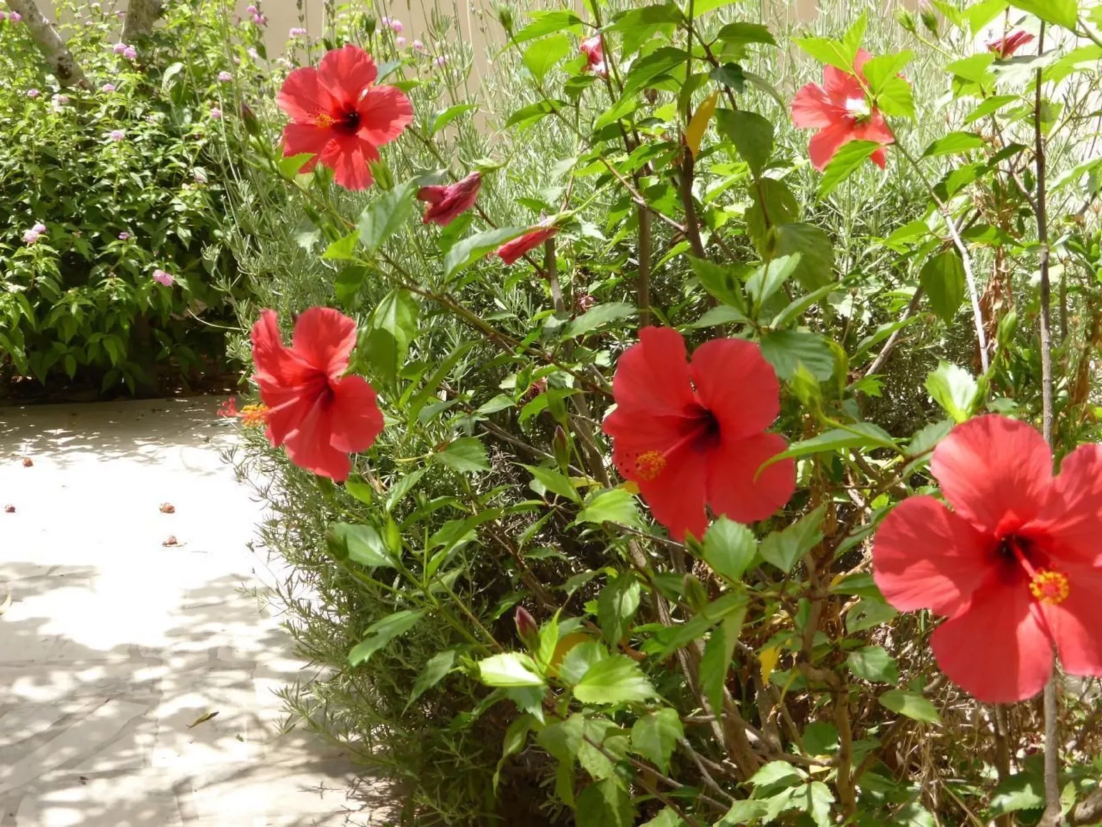 Schöner zentraler Bungalow direkt am Sandstrand auf Sizilien-Dehors