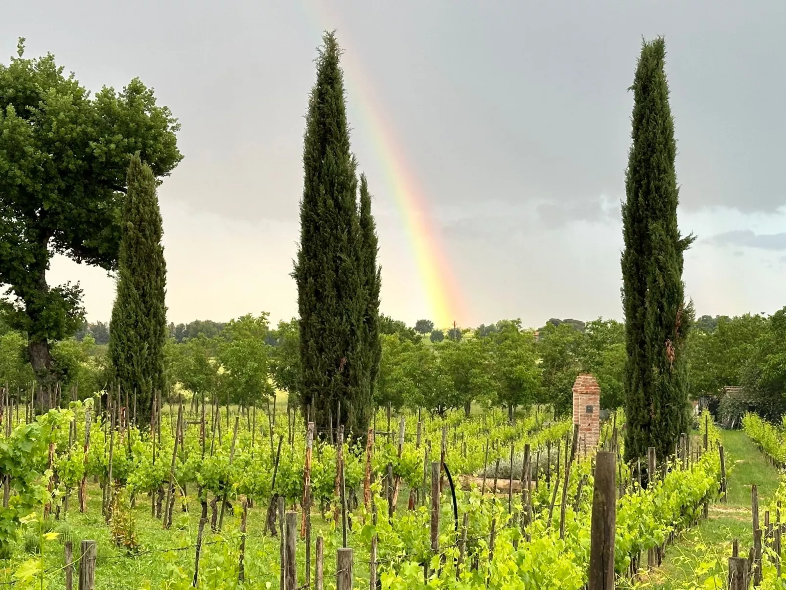 Apartment Vigneto-Outside