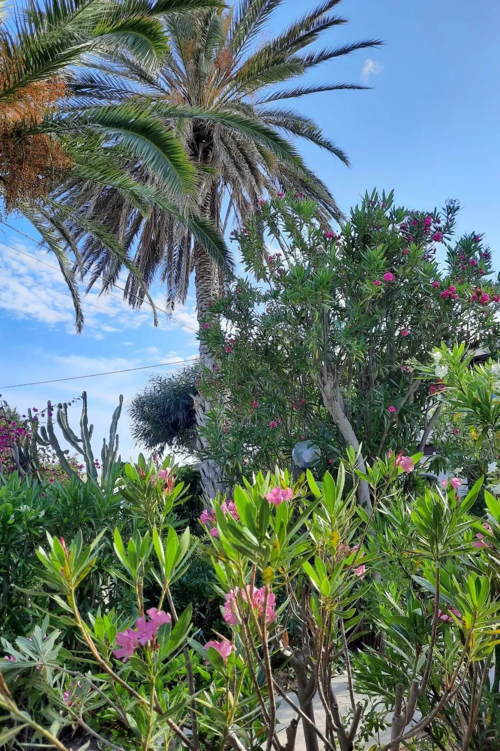 Schöner zentraler Bungalow direkt am Sandstrand auf Sizilien-Dehors