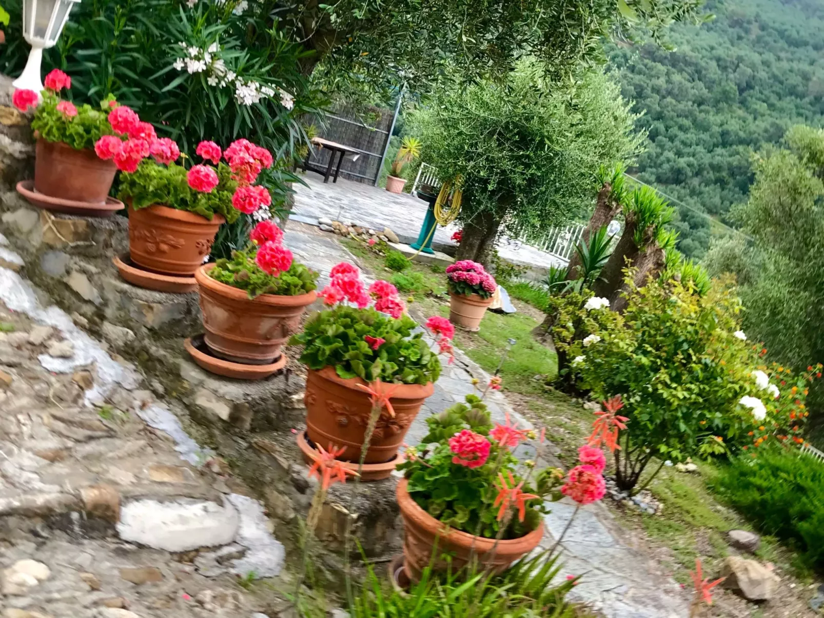 Casa Belvedere-Draußen