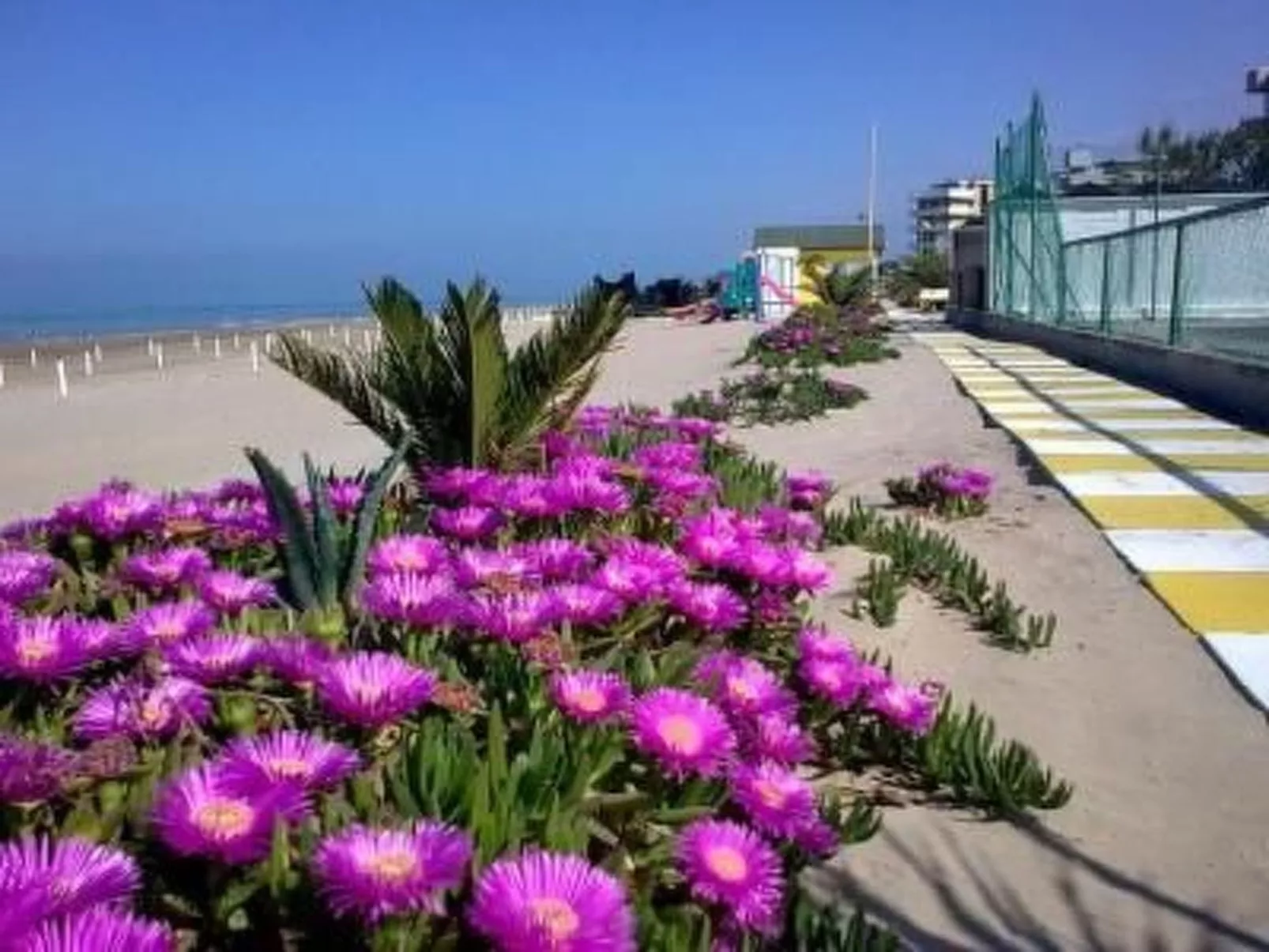 Wohnung 'Mare Blu 3' in Strandnähe-Dehors