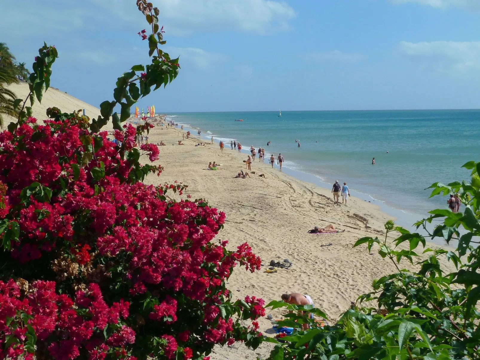 Buenavista Wohnung-Draußen