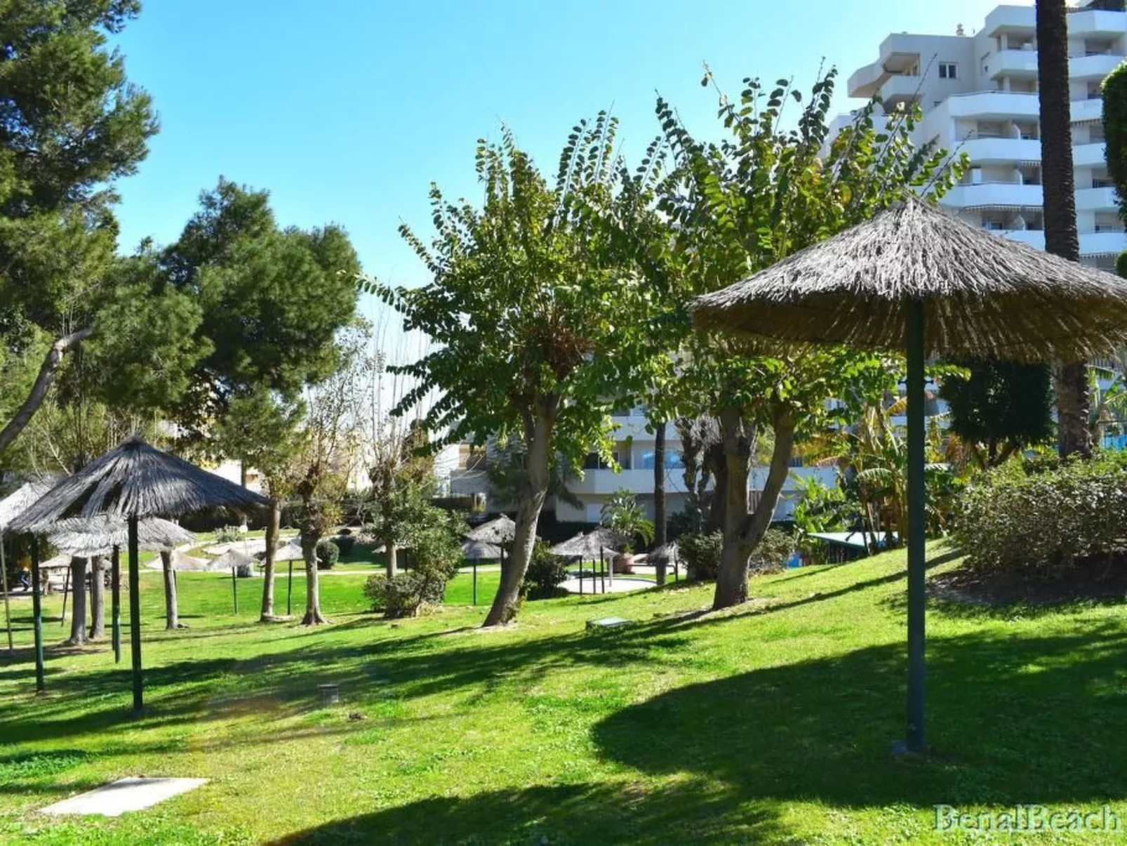 BENALBEACH DE LUXE an der BEACH FRONT LINE-Outside