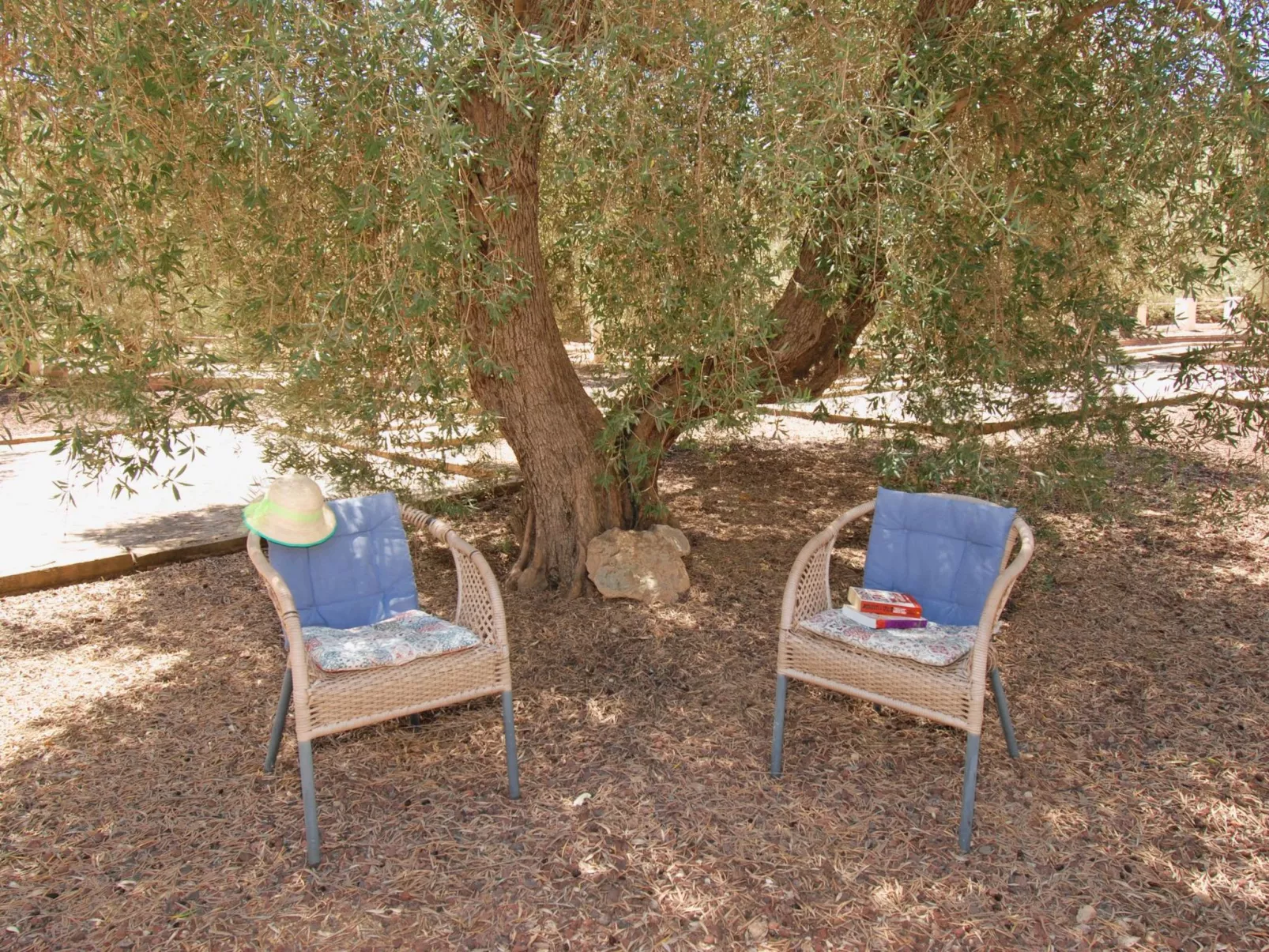 Casa The Lofties mit Pool in Andalusien-Outside