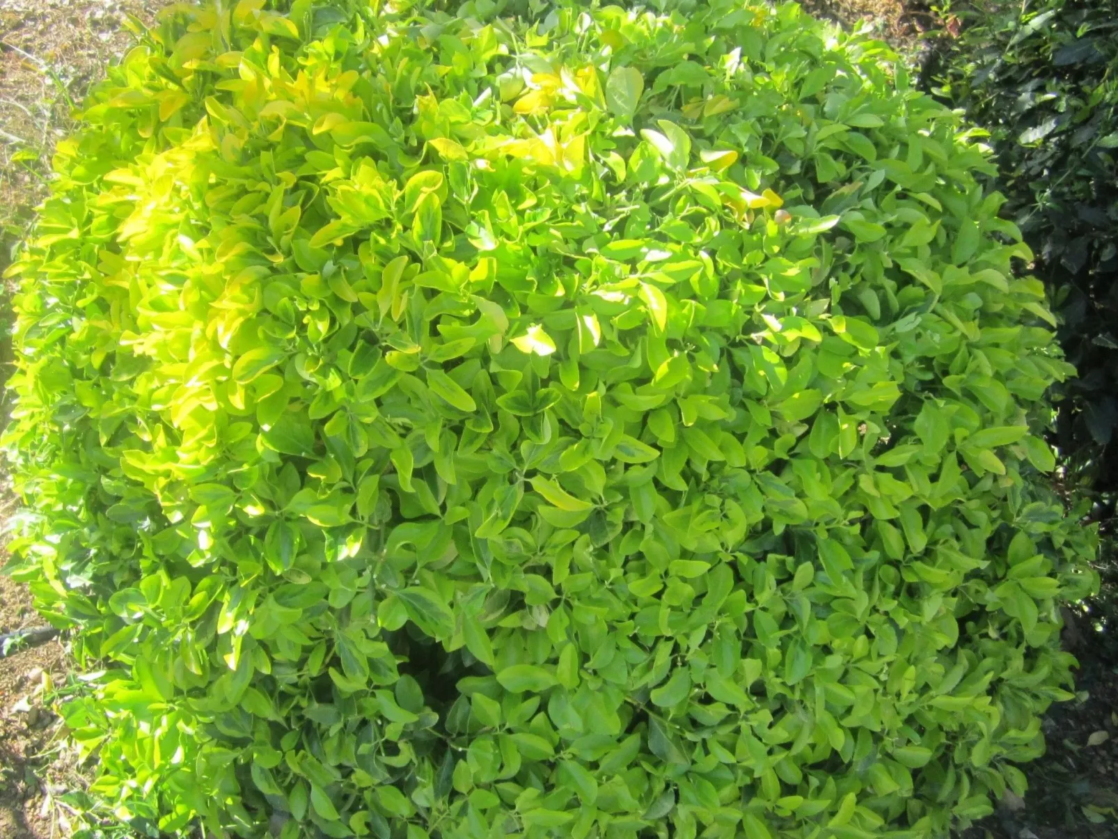 Wohnung mit Wasserblick-Draußen