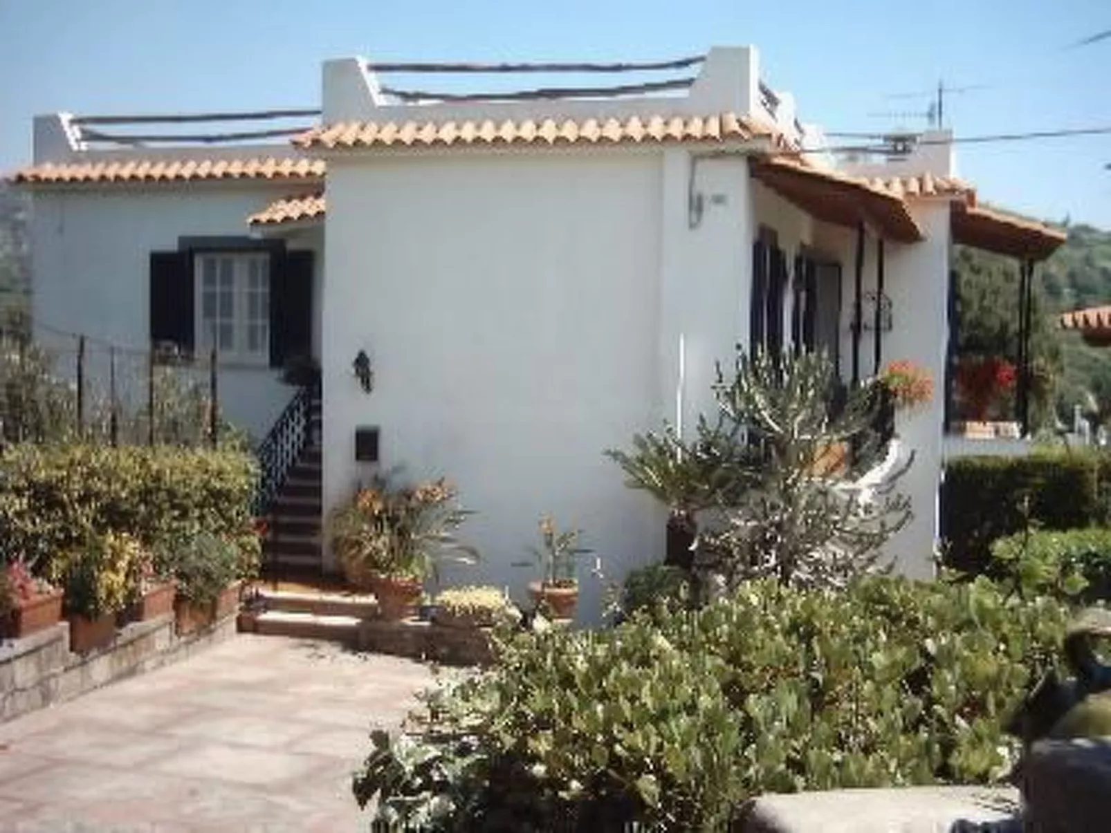 La Terrazza-Image-tags.info