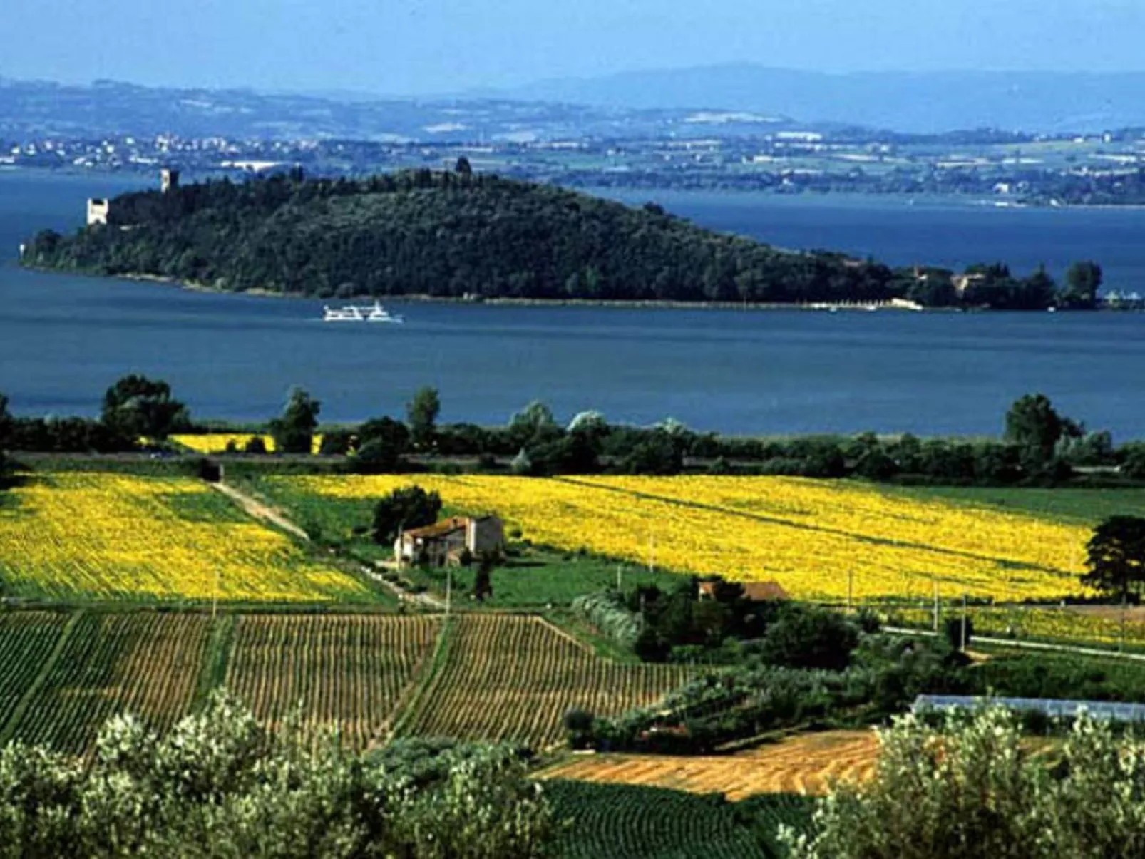 Privates Poolhaus im grünen Herzen von Umbrien-Dehors