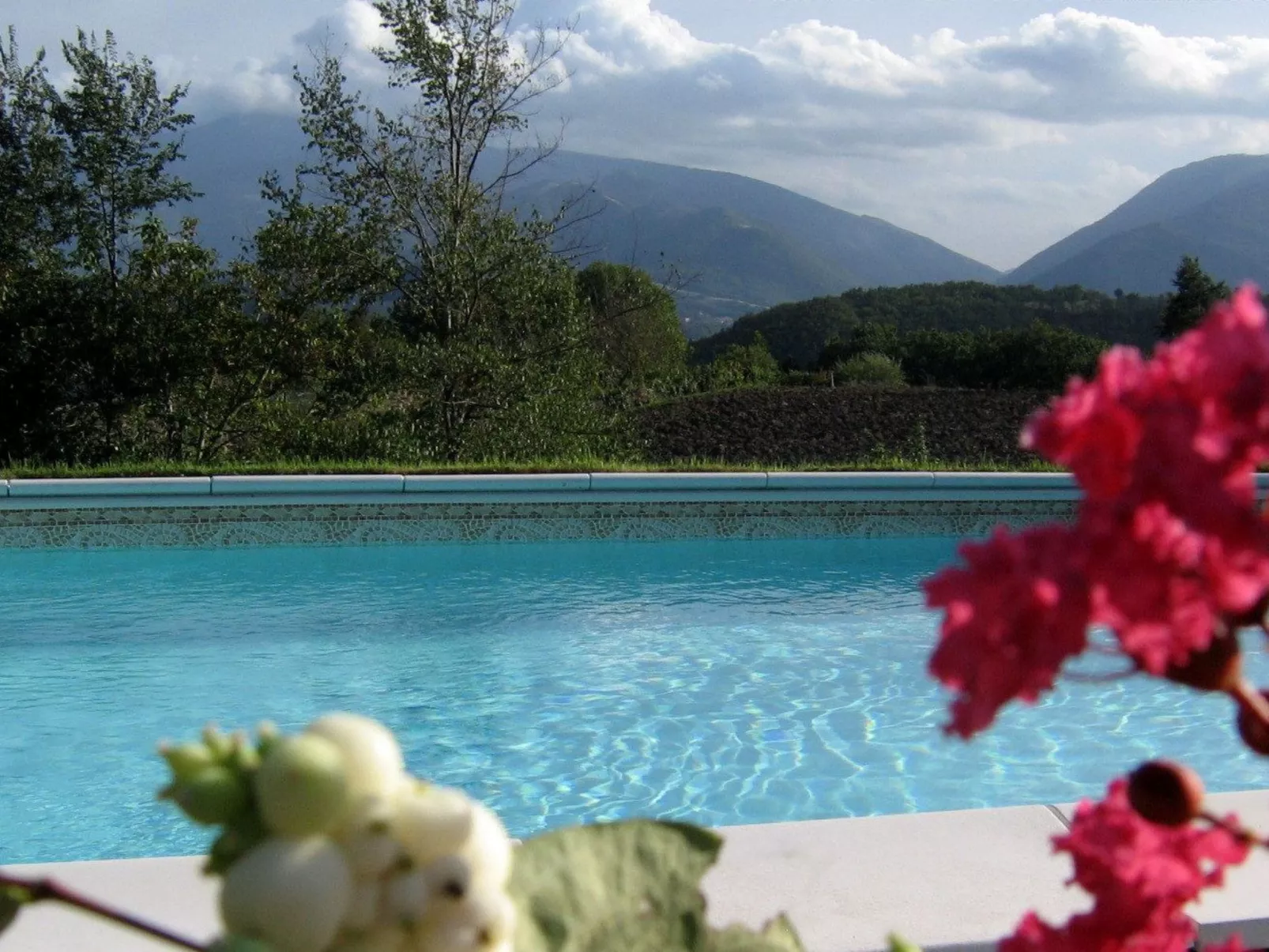 Rose in Cagli-Dehors