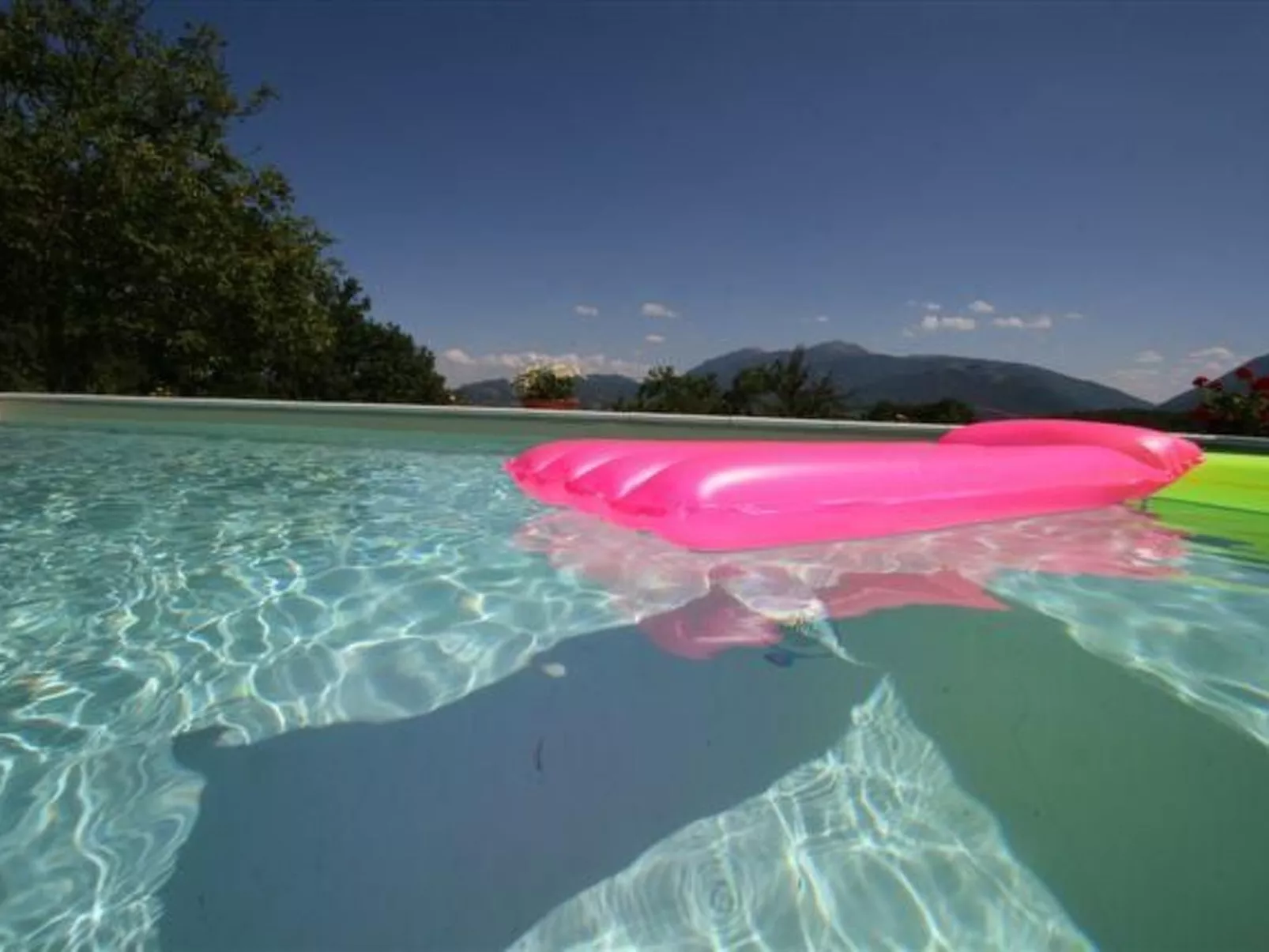 Flacher Flieder-Draußen