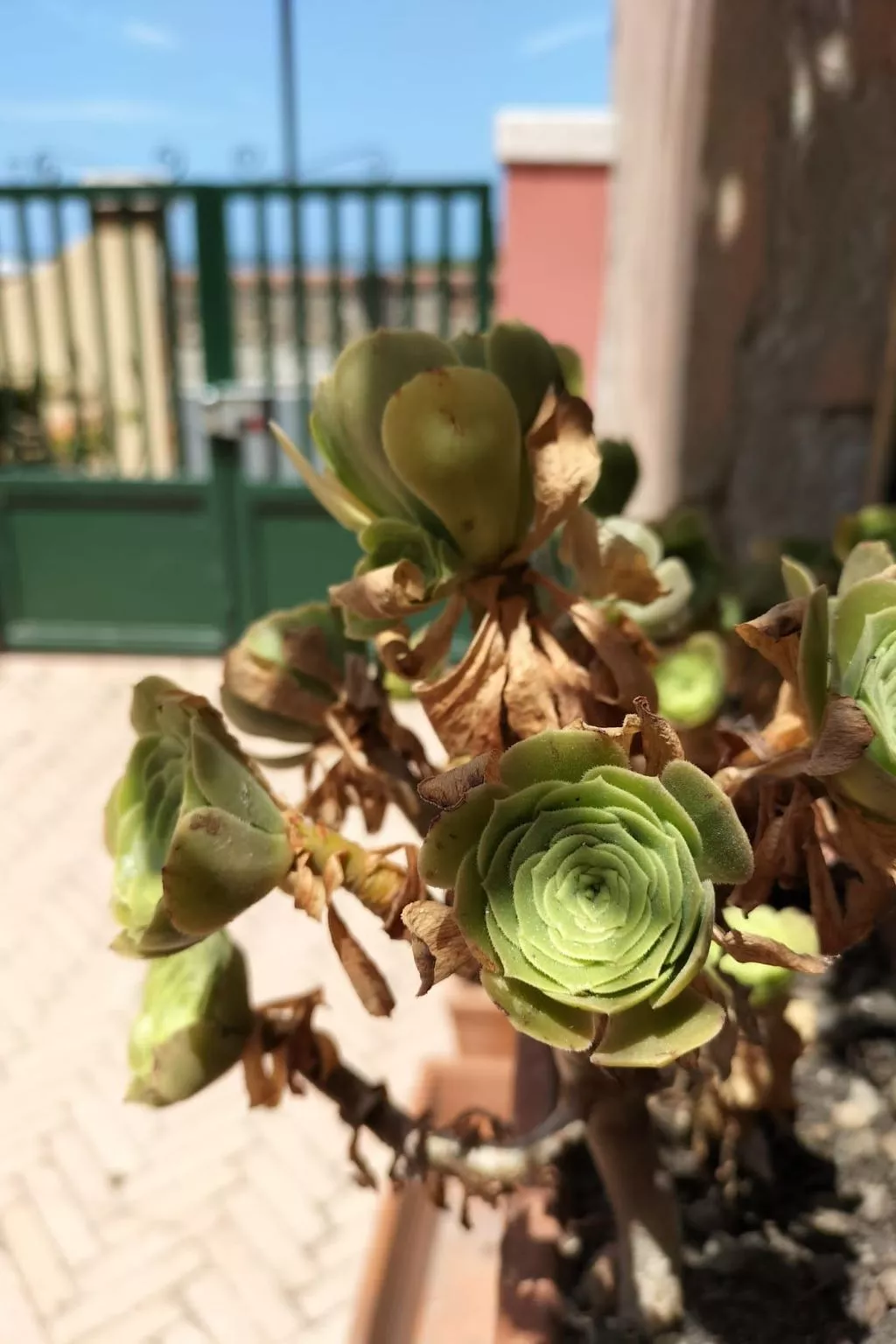 Orbetello - Tramonto di Ponente Einfamilienhaus-Image-tags.info