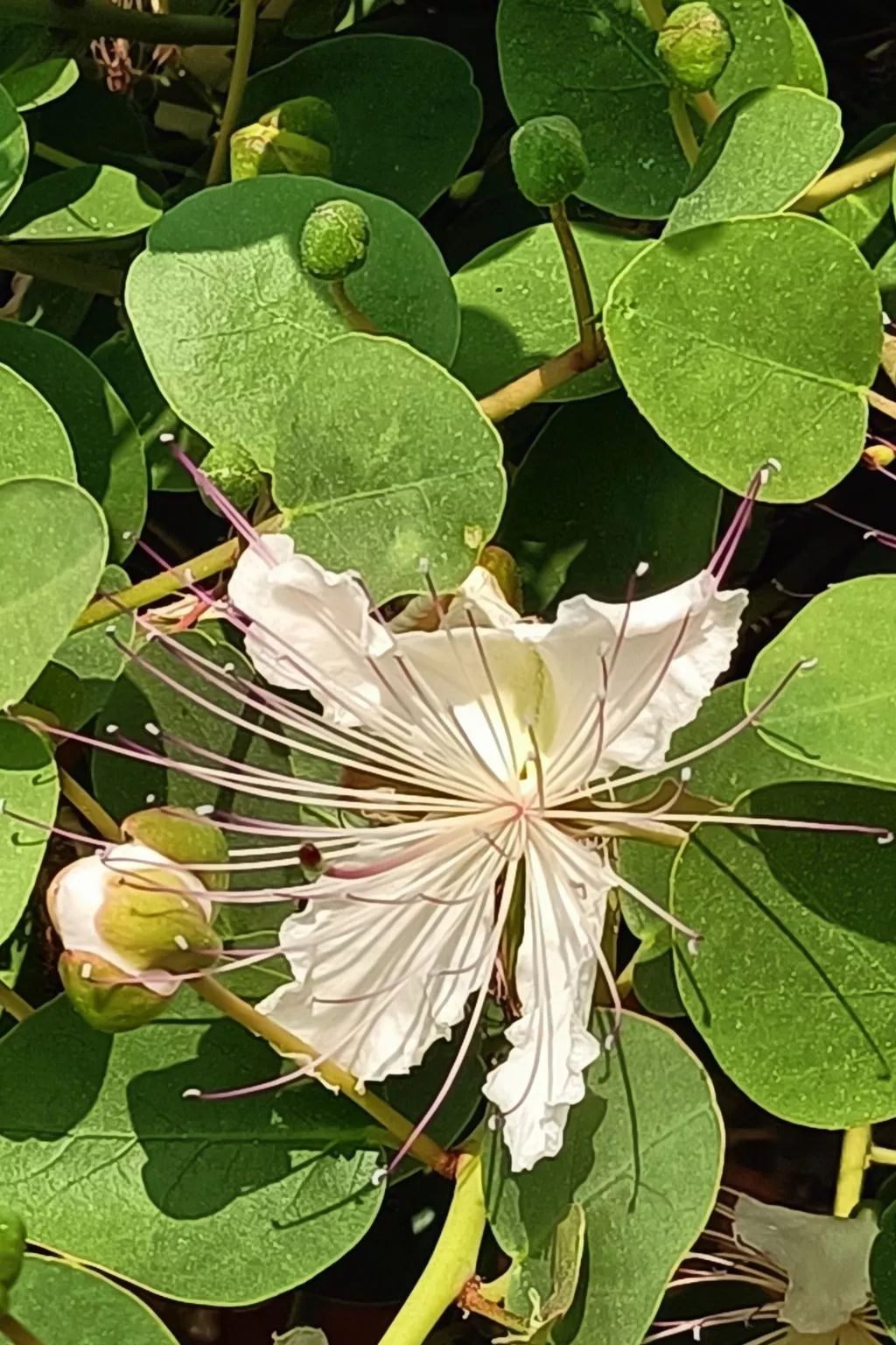 Mit Wasserblick-Outside