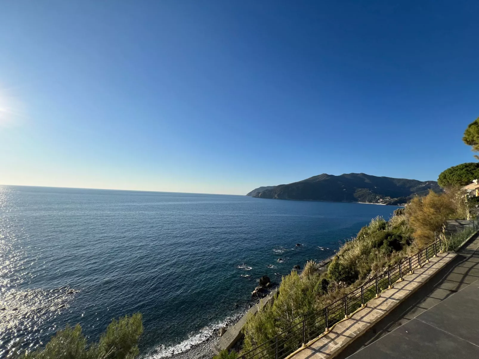 House Agave by Holiday World-Dehors