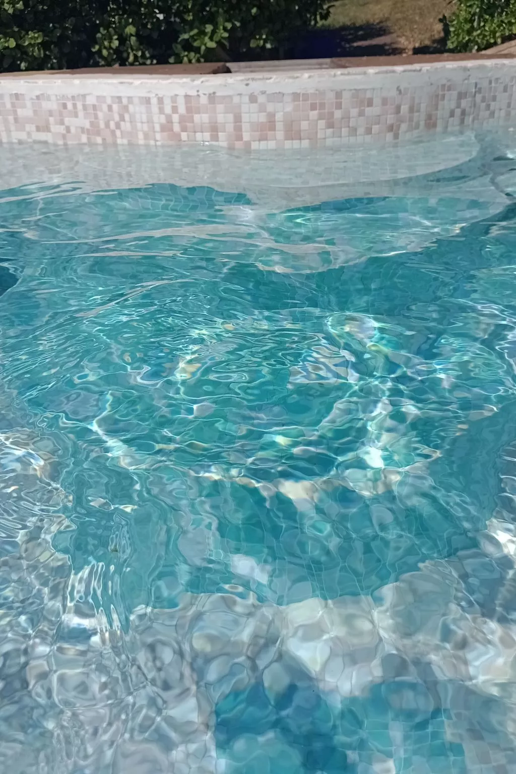 Zweizimmerwohnung mit Schwimmbad und Garten zur alleinigen Nutzung-Draußen