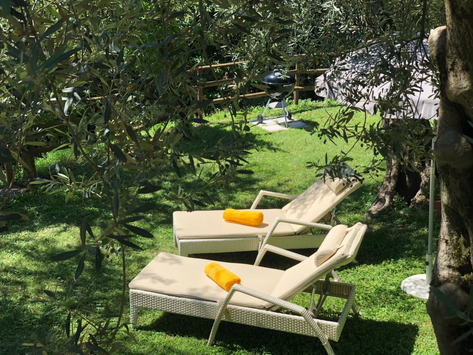 'Villa degli Ulivi-Dehors