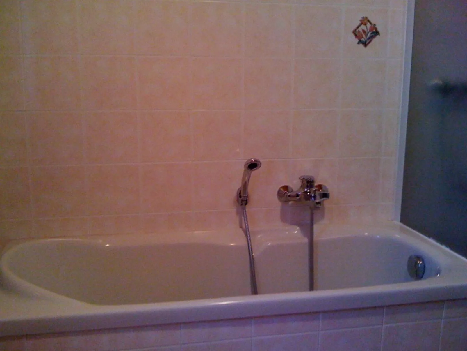 Haus Bezzi in Pellizzano-Drinnen