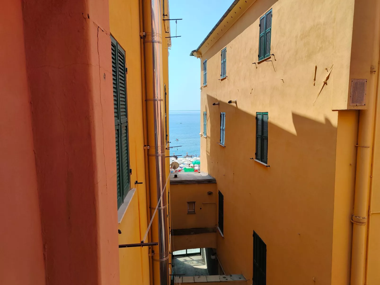 Vaze's Heart by Holiday World-Outside