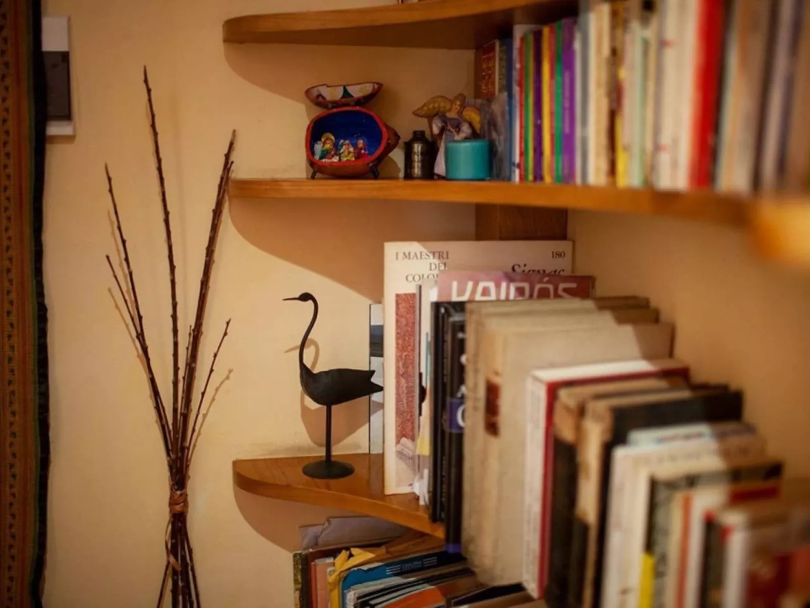 'Colo'-Image-tags.info