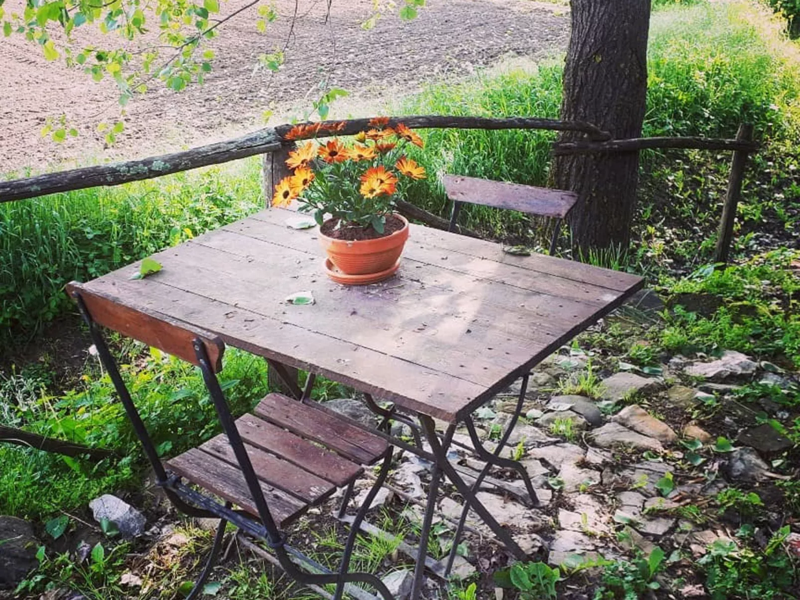 Landgut "Il Molino" mit Terrasse und Garten-Outside