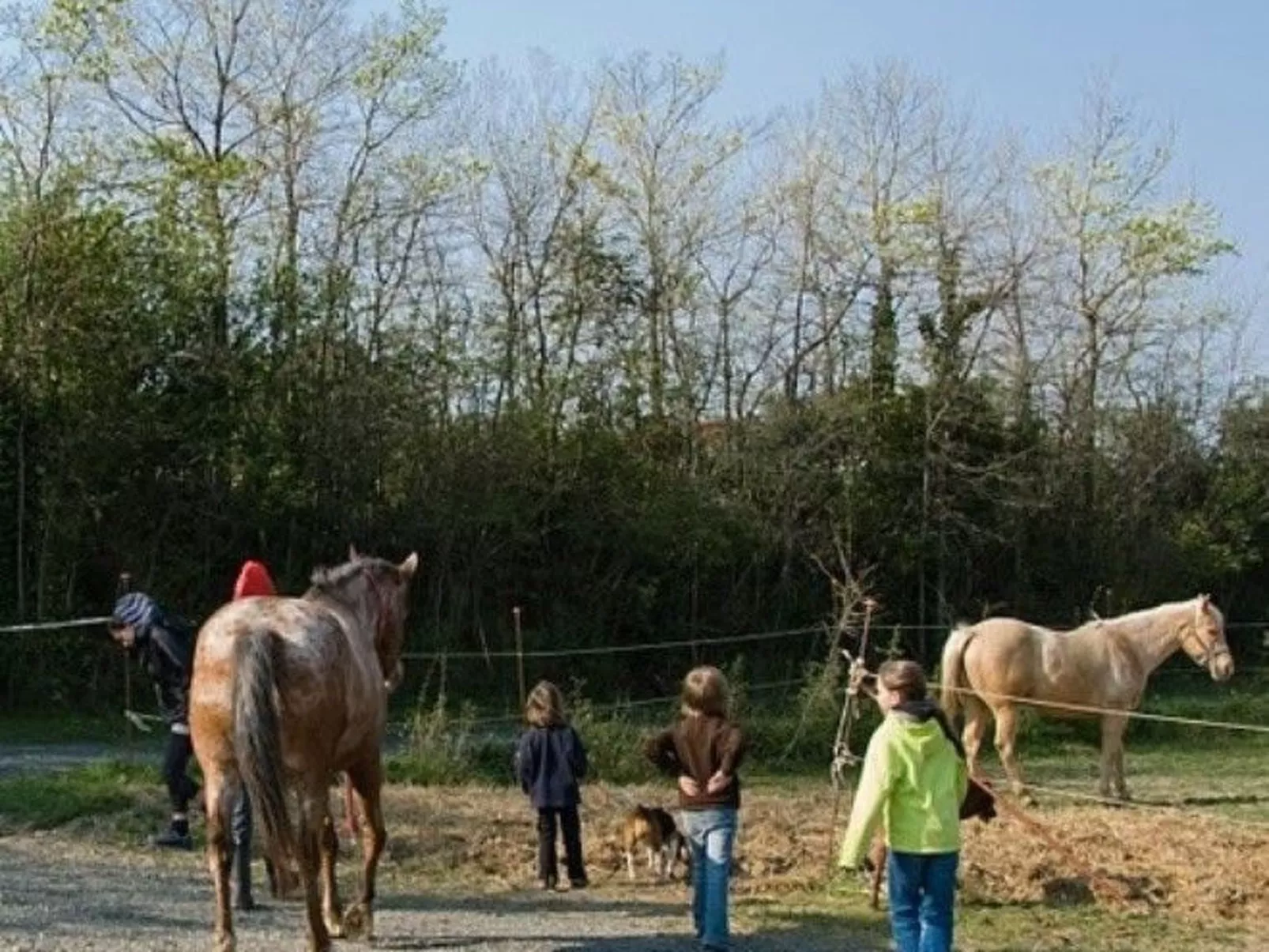 Wohnung Grecale in Castellina Marittima-Outside