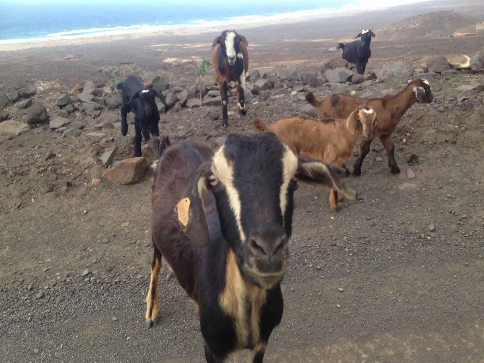 "Jandia" mit Wasserblick-Outside