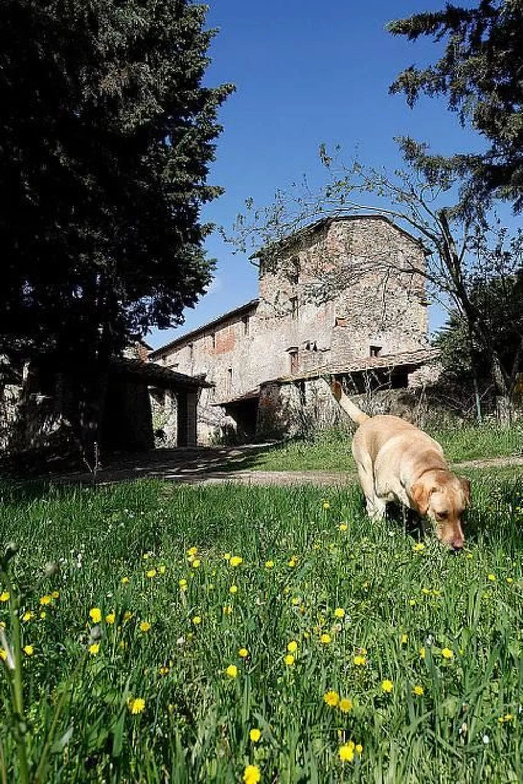 Casa Fallocchio-Outside