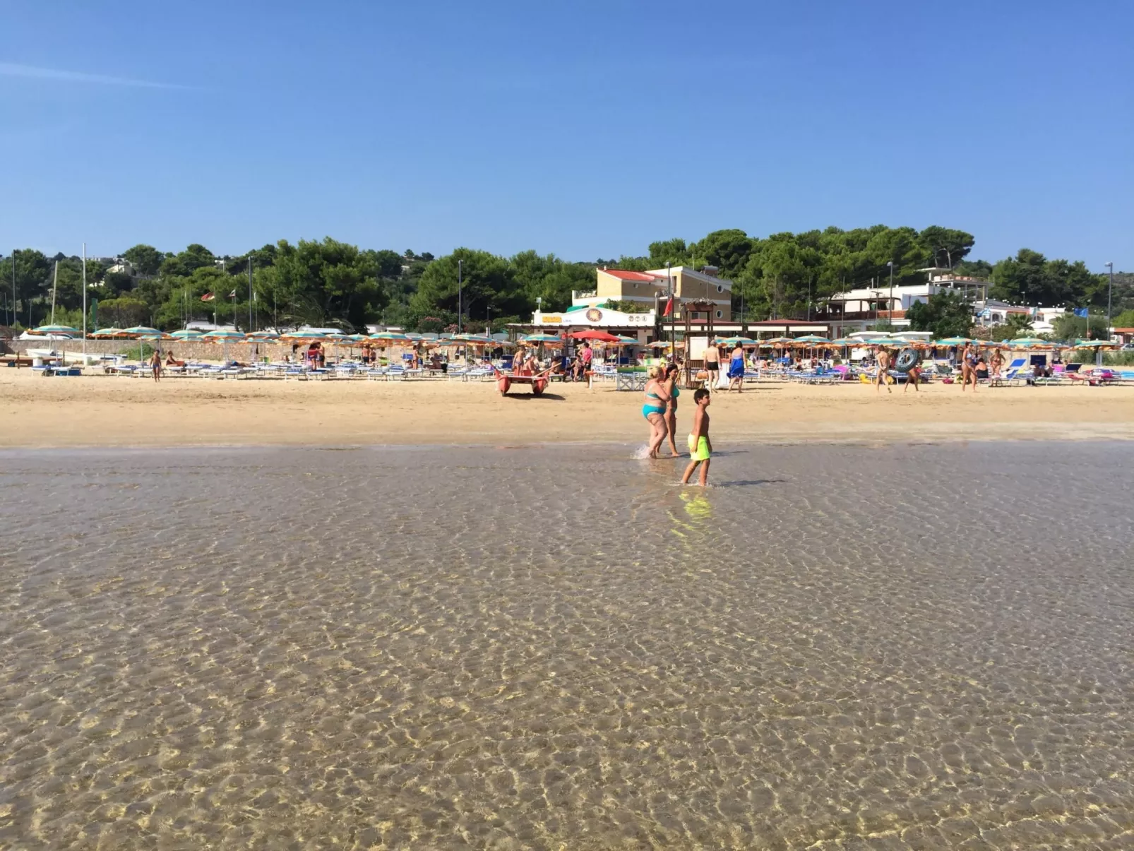 'Carla Gold' mit Wallbox-Image-tags.info