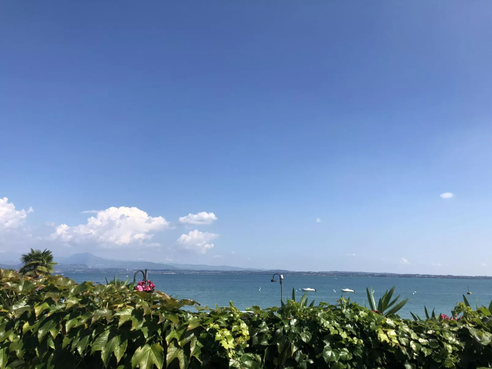 Schönes Studio-Apartment - Pool und Balkon-Draußen