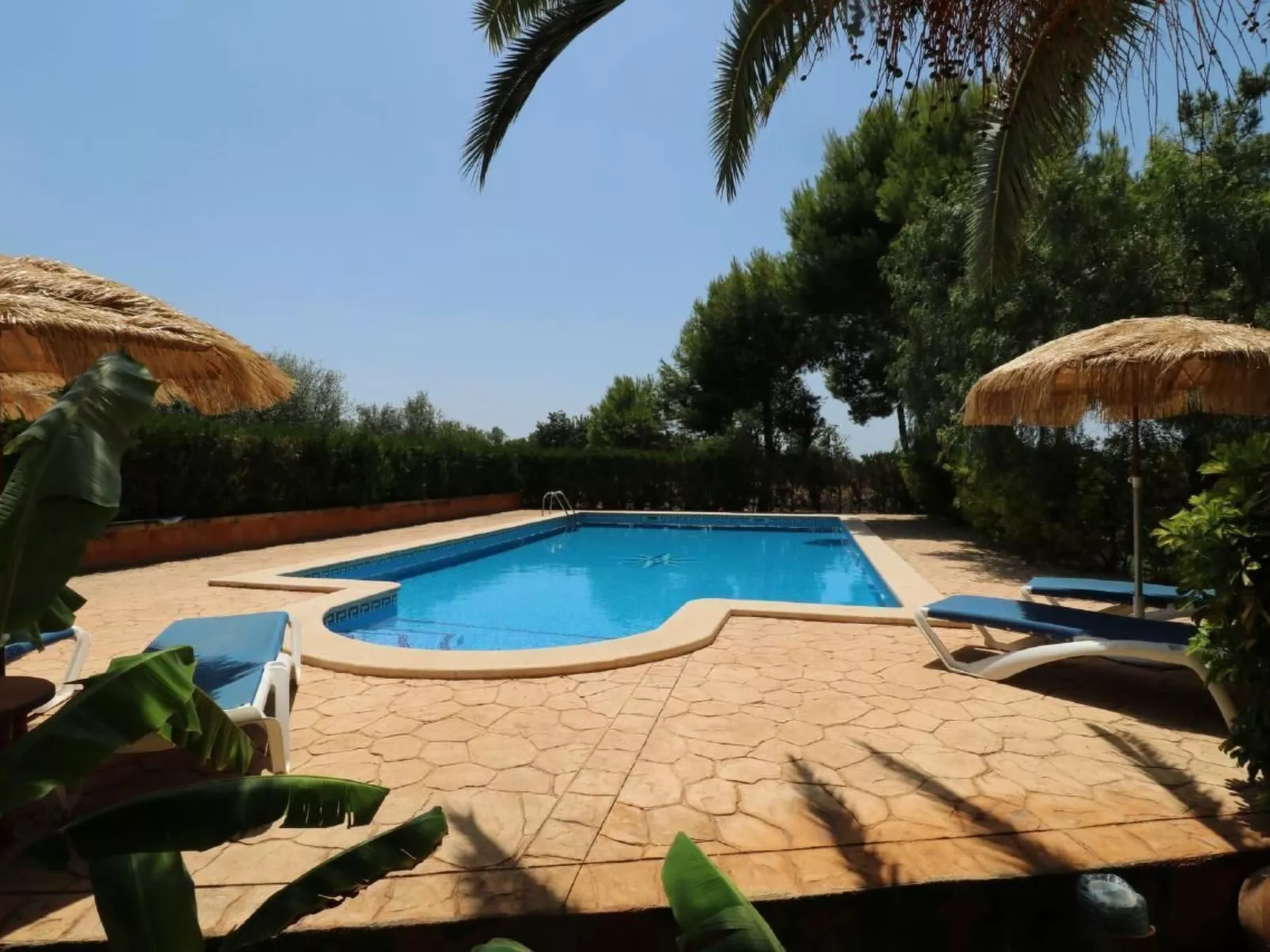 Fi. Camaron-Crestall-Image-tags.info