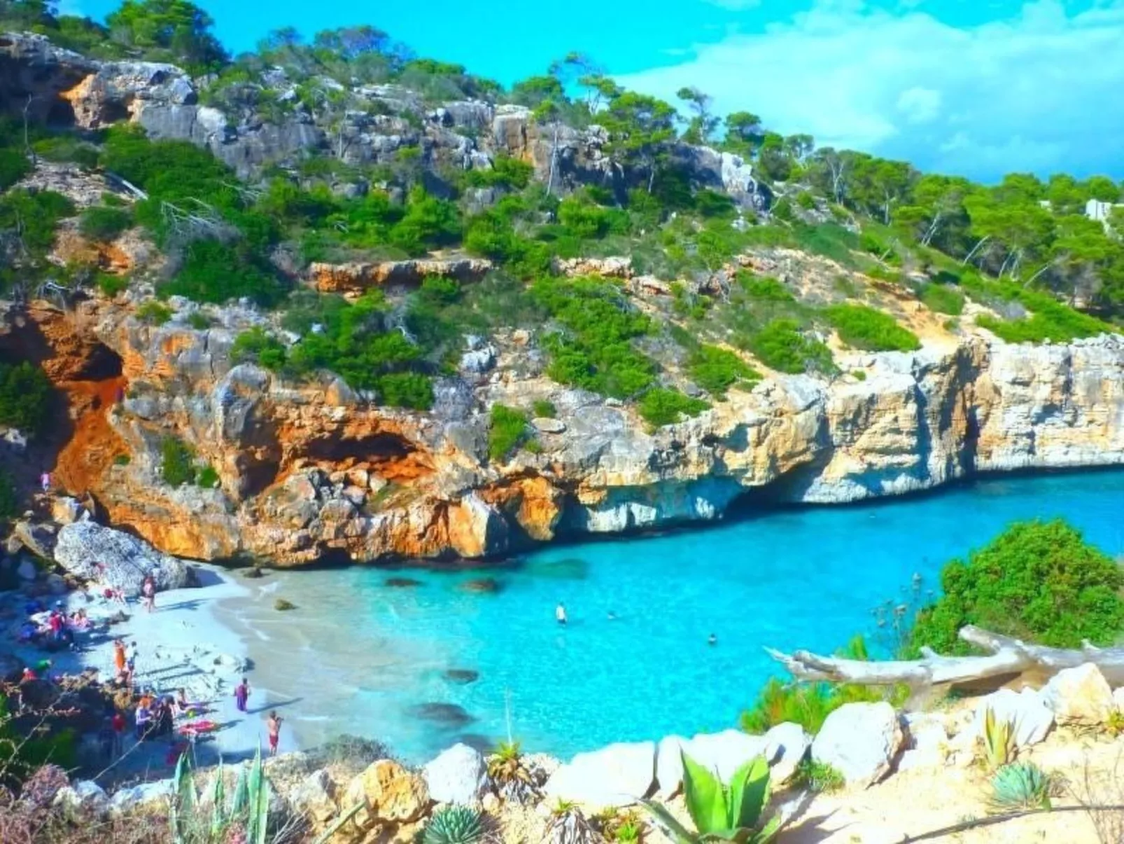 Finca Can Cuco-Image-tags.info