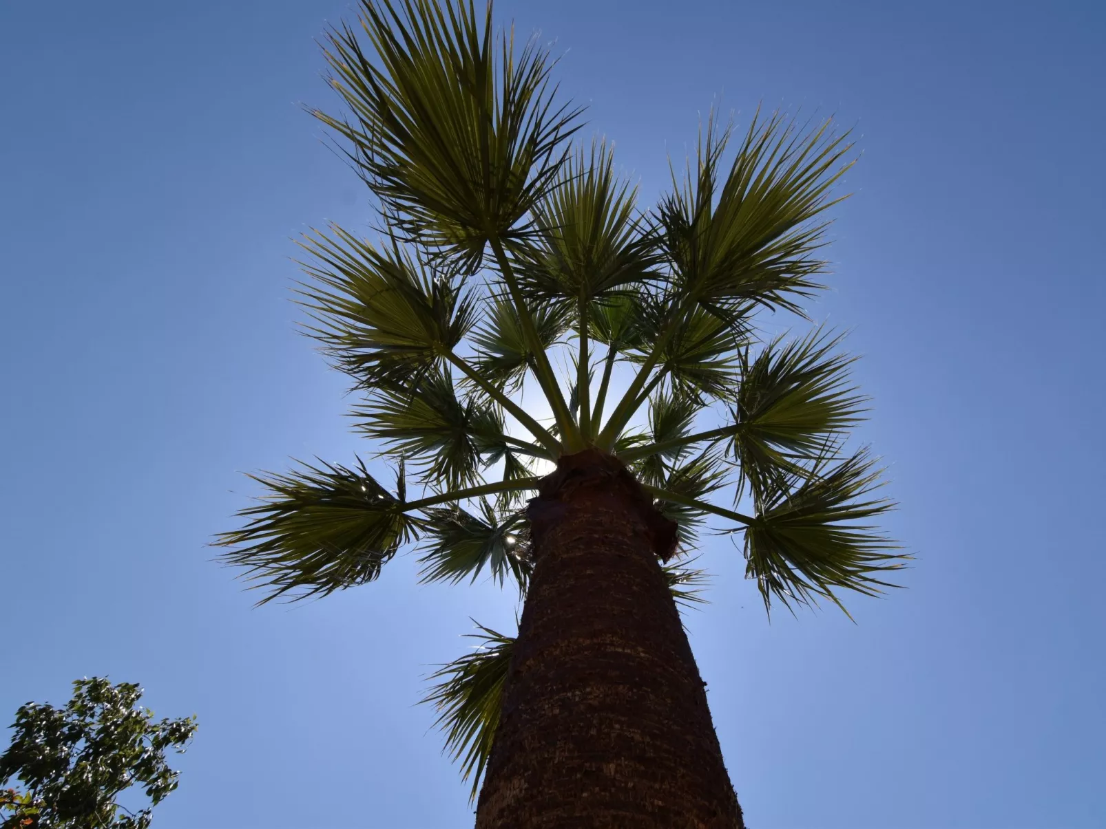 Finca El Corinto - Ein verwunschener Ort-Dehors