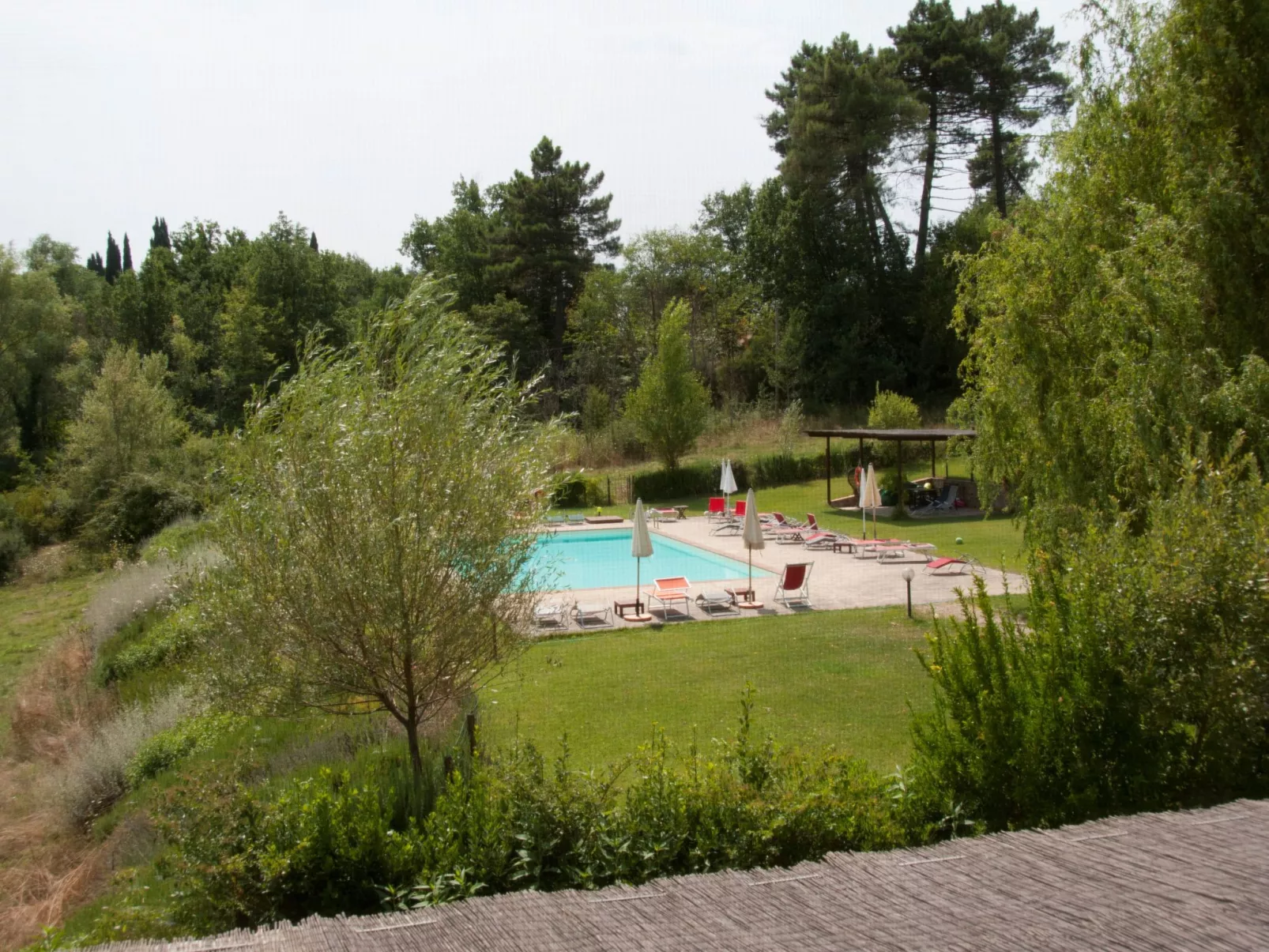 Apartment Rosa Canina (Wilde Rose)-Image-tags.info