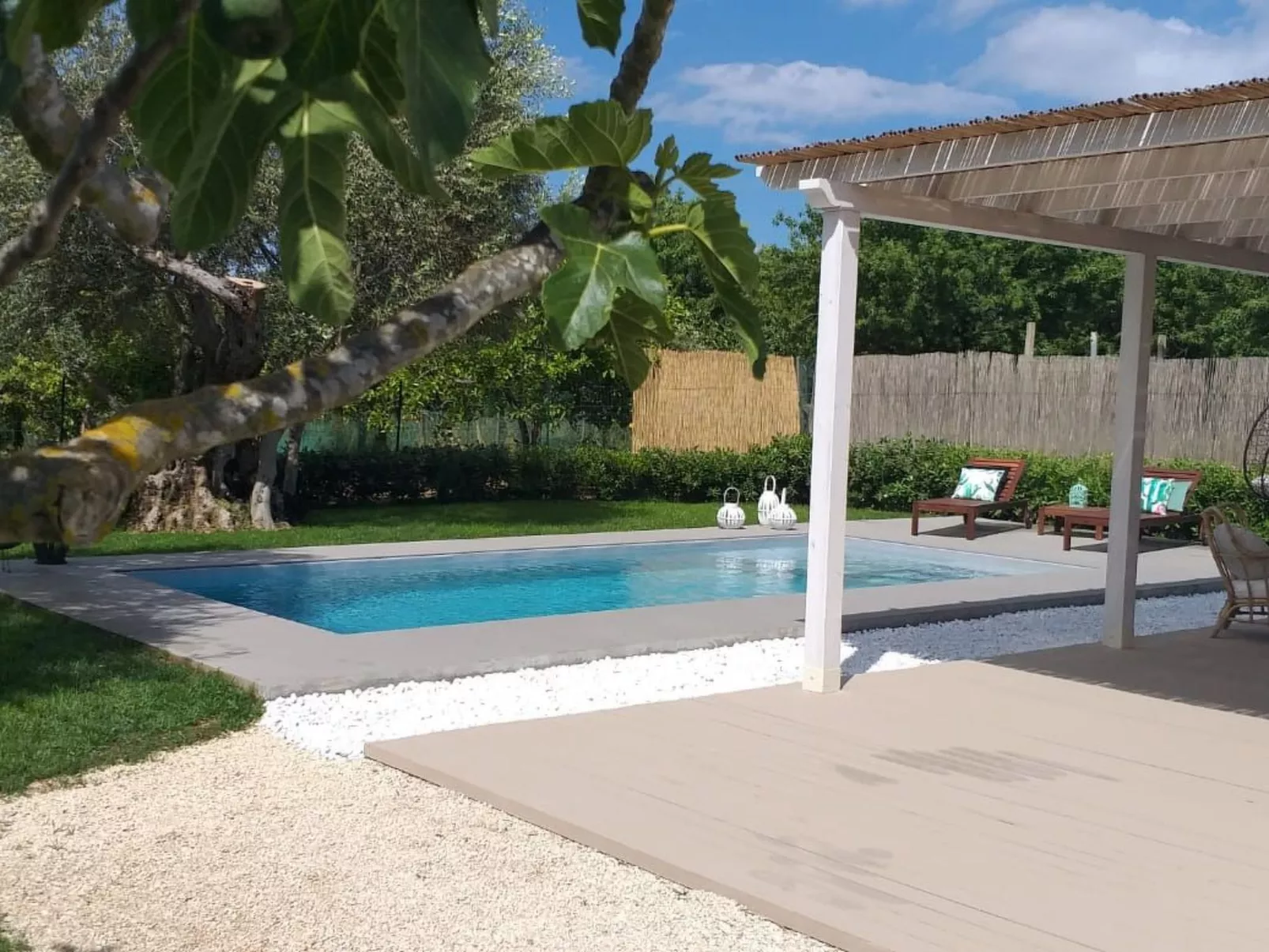 'Federica'-Image-tags.info