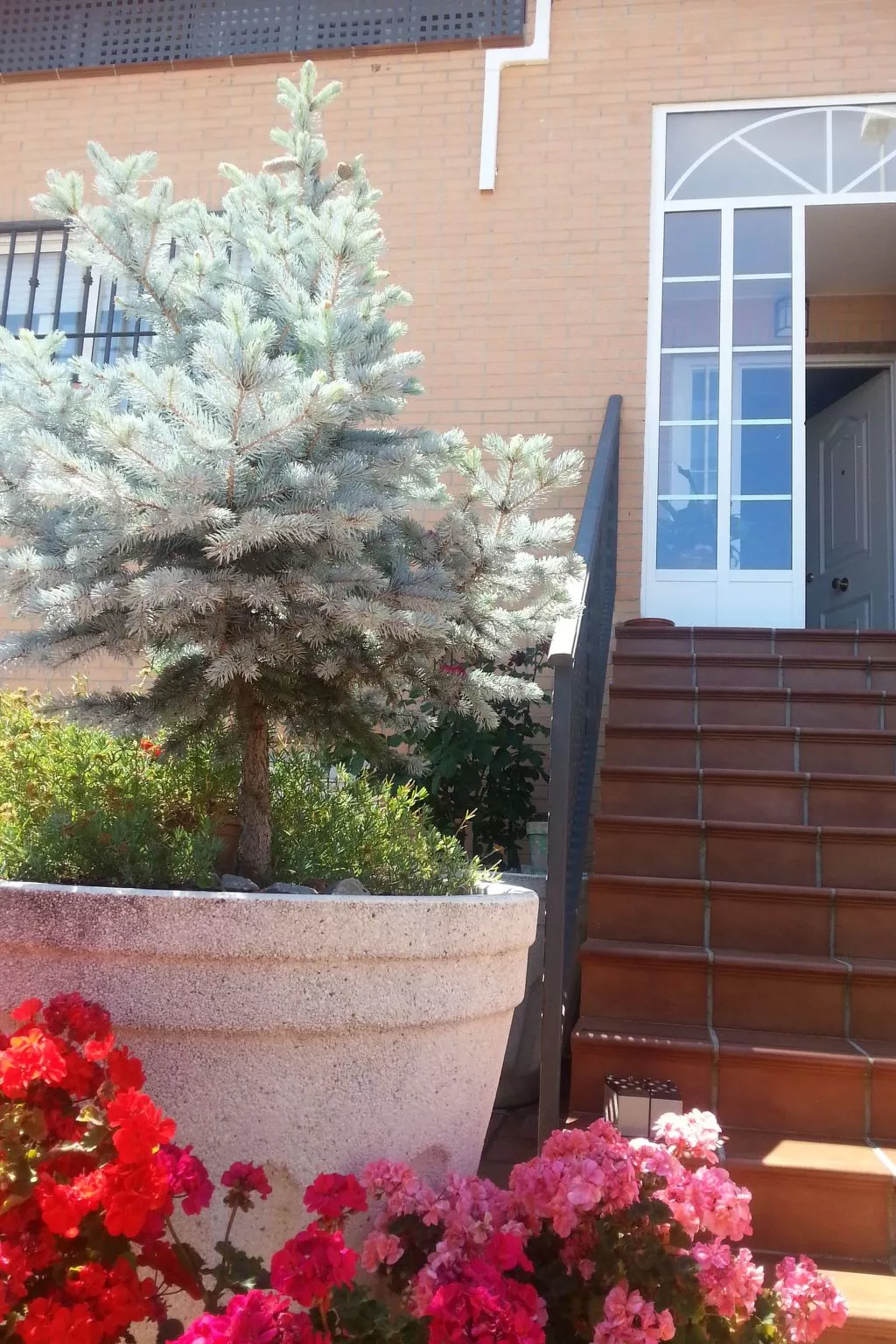 Montesol-Ferienwohnung-Image-tags.info