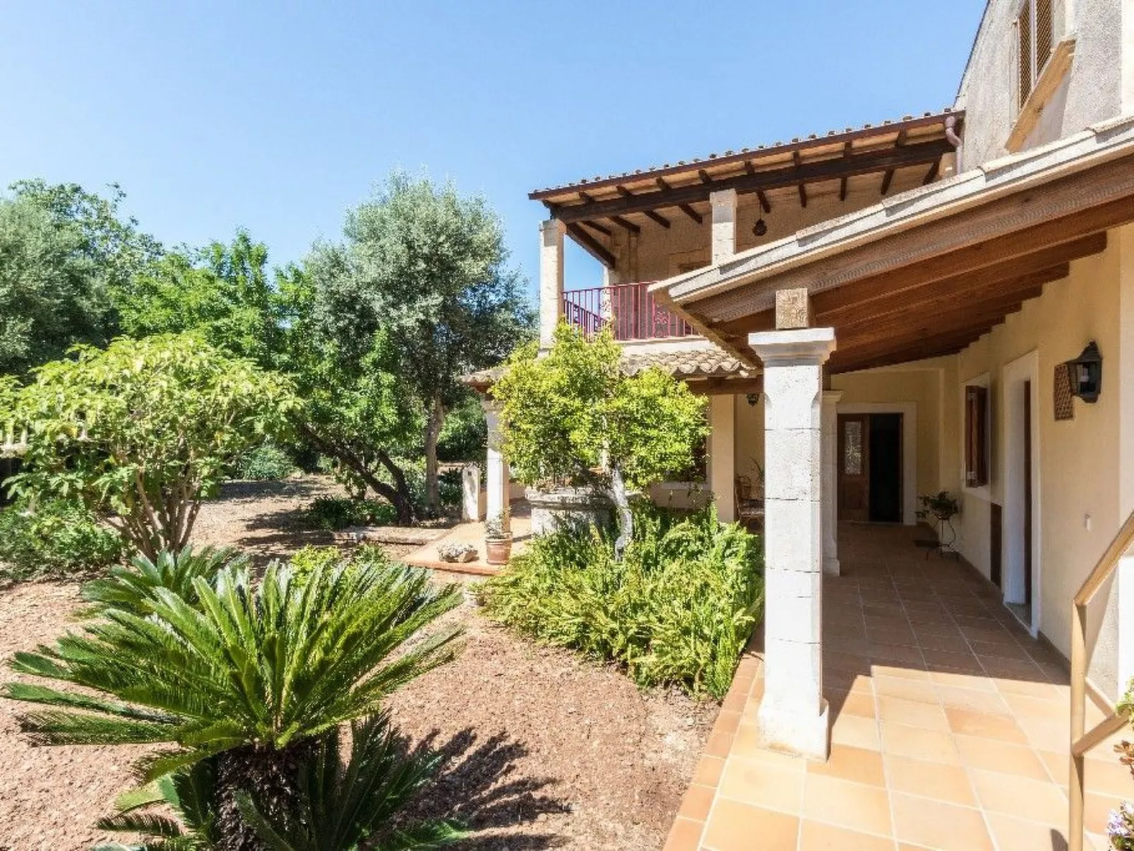 "Panada-Image-tags.info