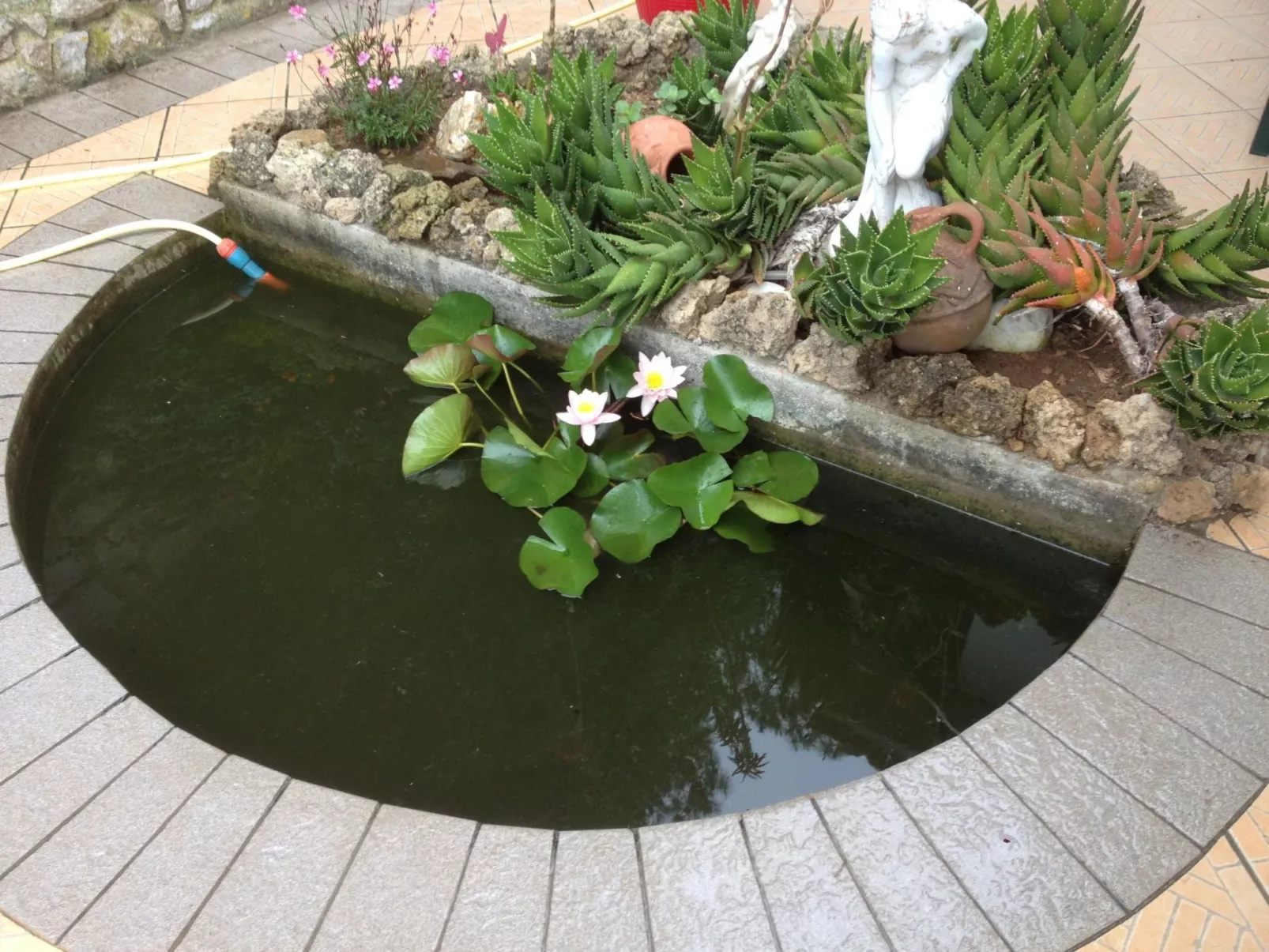 Gemütliches Appartement in Capoliveri mit Grill und Terrasse-Draußen