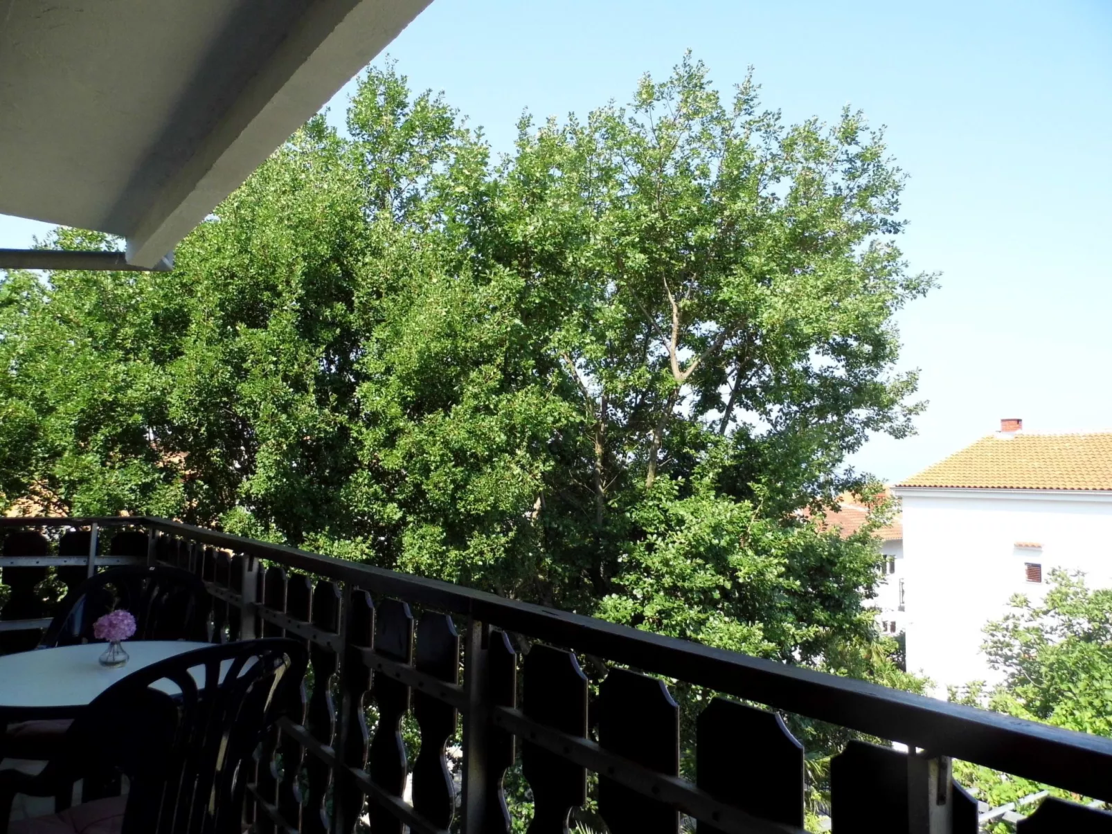 Stanojevic 2-Outside