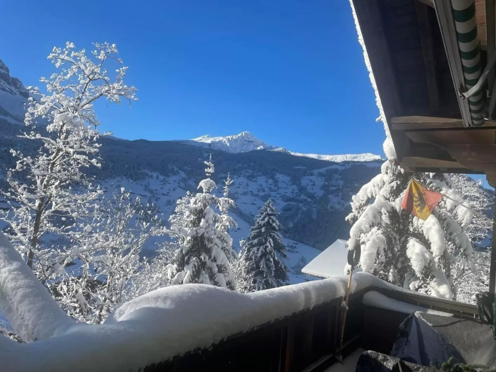 Chalet Tannegüetli-Dehors