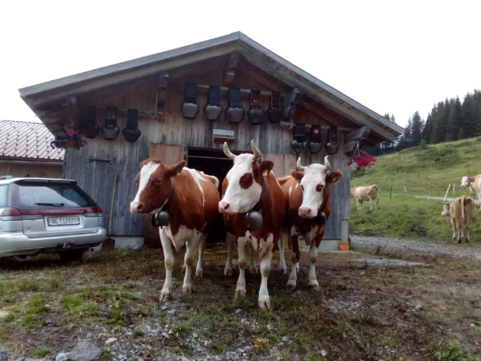 Bühlengasse 6-Dehors