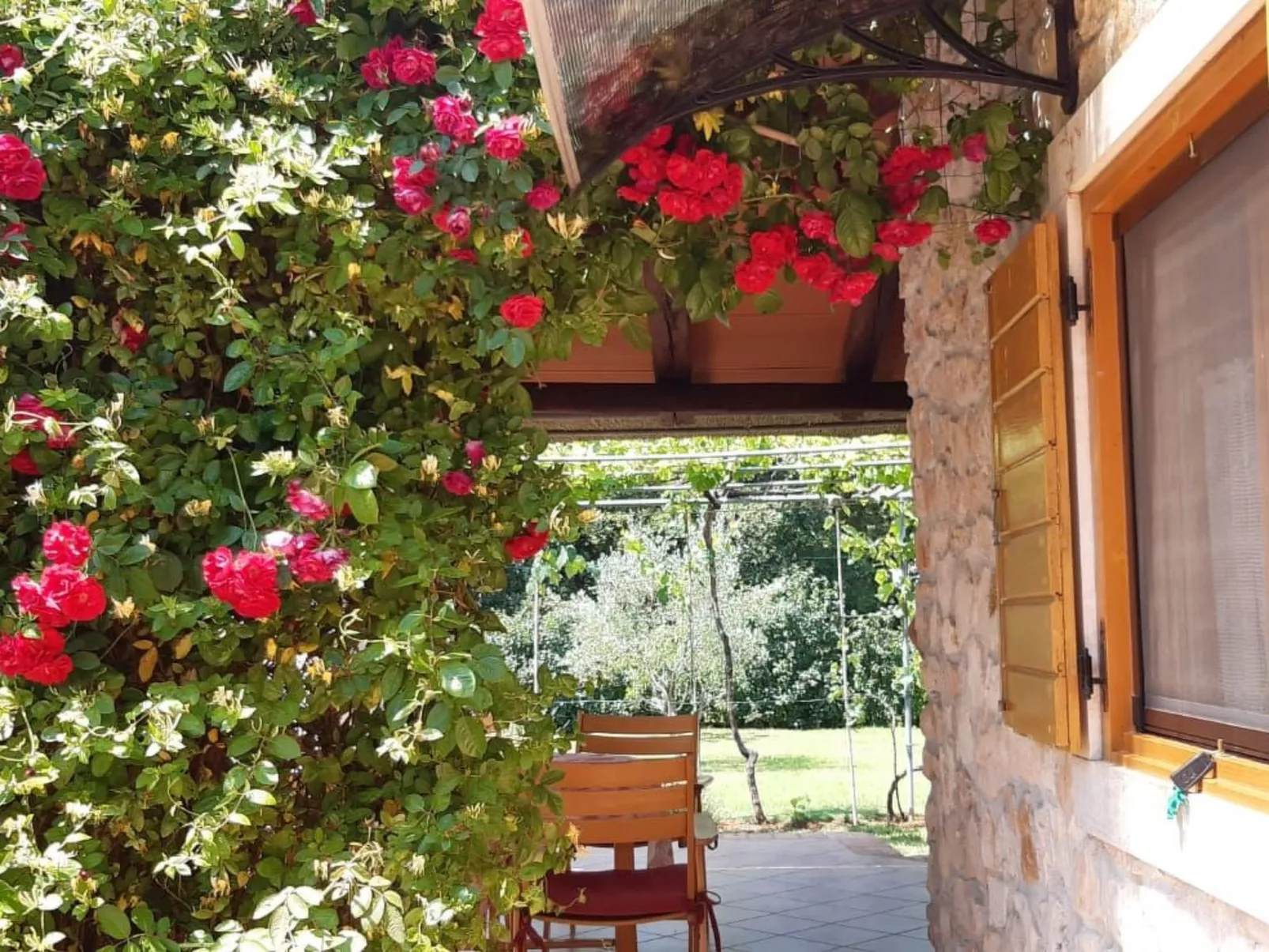 Mit schönem Garten und Sonnenterrasse-Image-tags.info