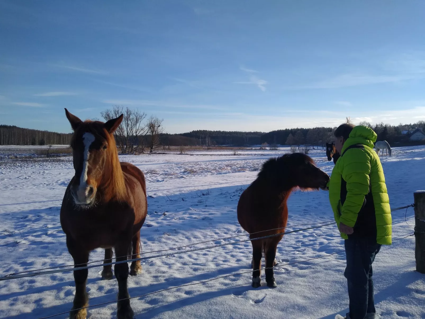 Vogelecke - abseits des Trubels und der Hektik-Dehors